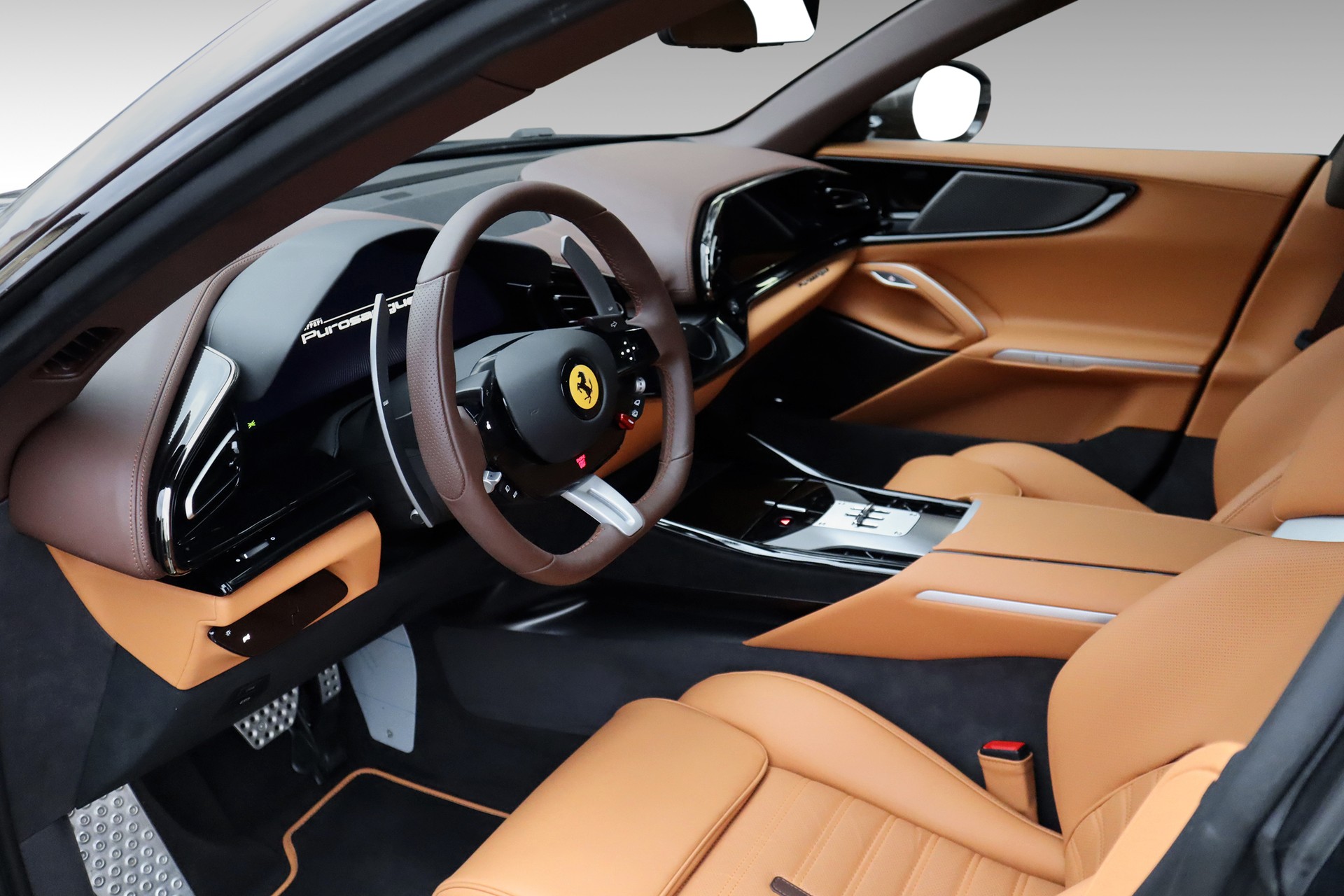 FERRARI PUROSANGUE-image-7