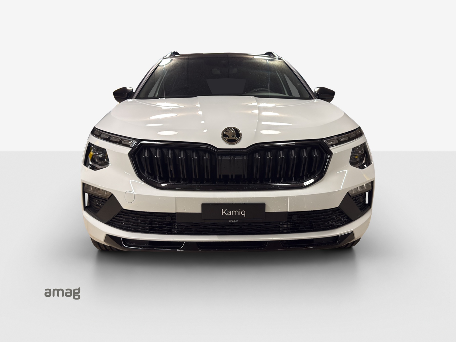 SKODA Kamiq Monte Carlo-image-6