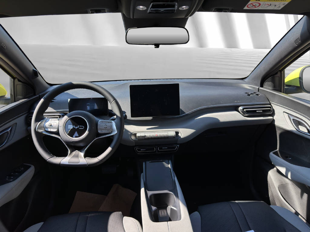 BYD Dolphin Surf Active-image-4