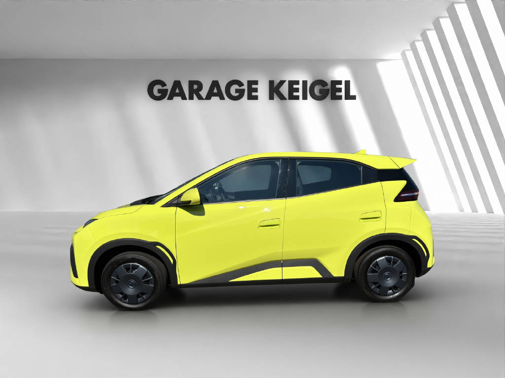 BYD Dolphin Surf Active-image-1