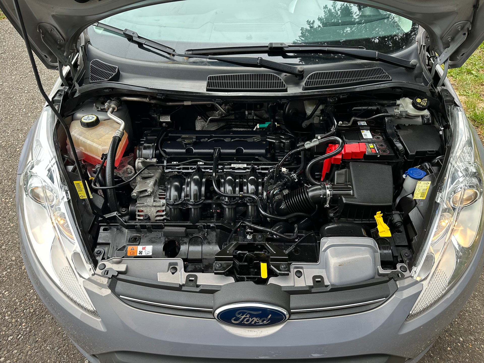FORD Fiesta 1.4 16V Titanium Automatic-image-11