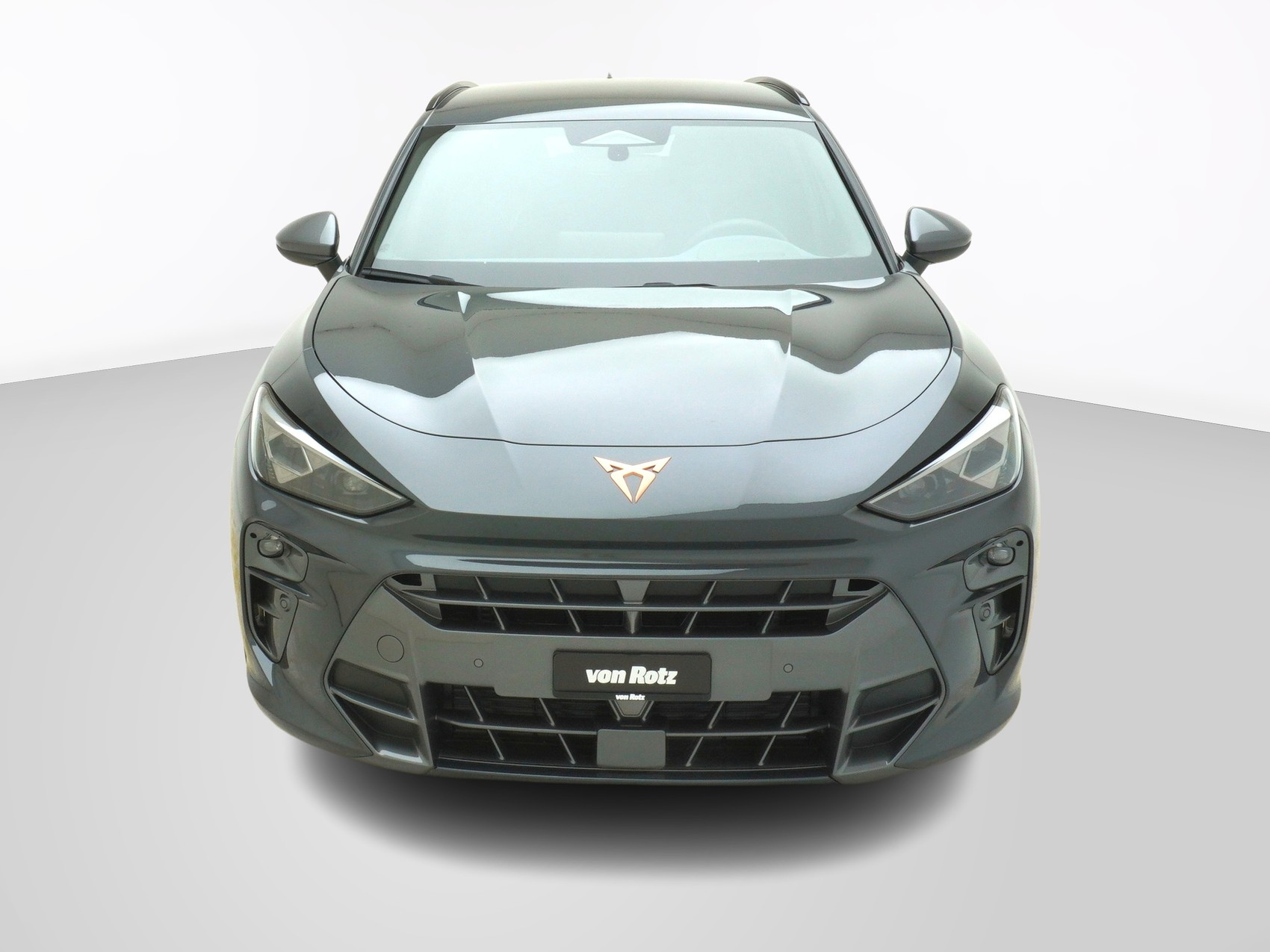 CUPRA Terramar 2.0 TSI 4Drive DSG-image-6