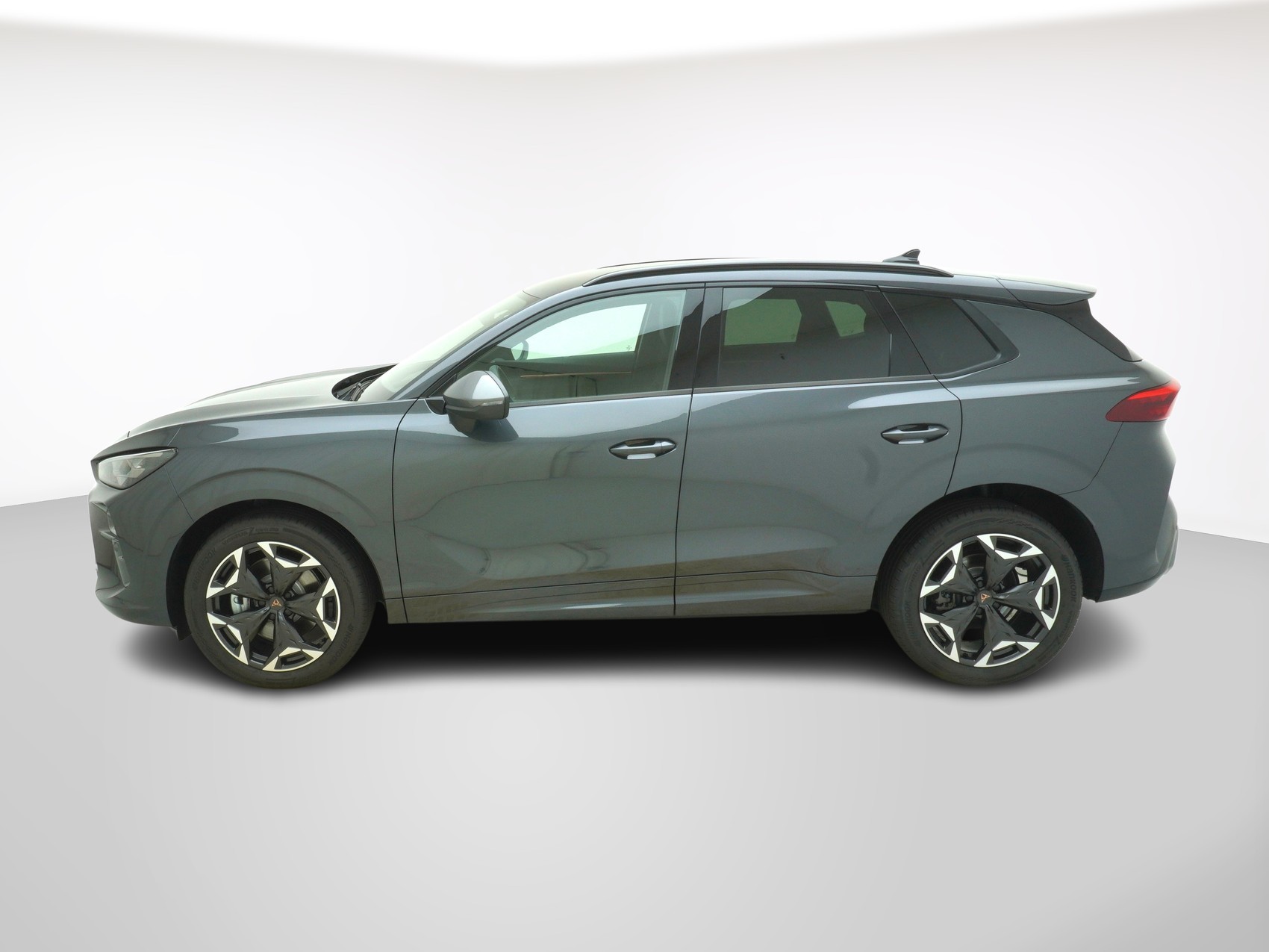 CUPRA Terramar 2.0 TSI 4Drive DSG-image-1