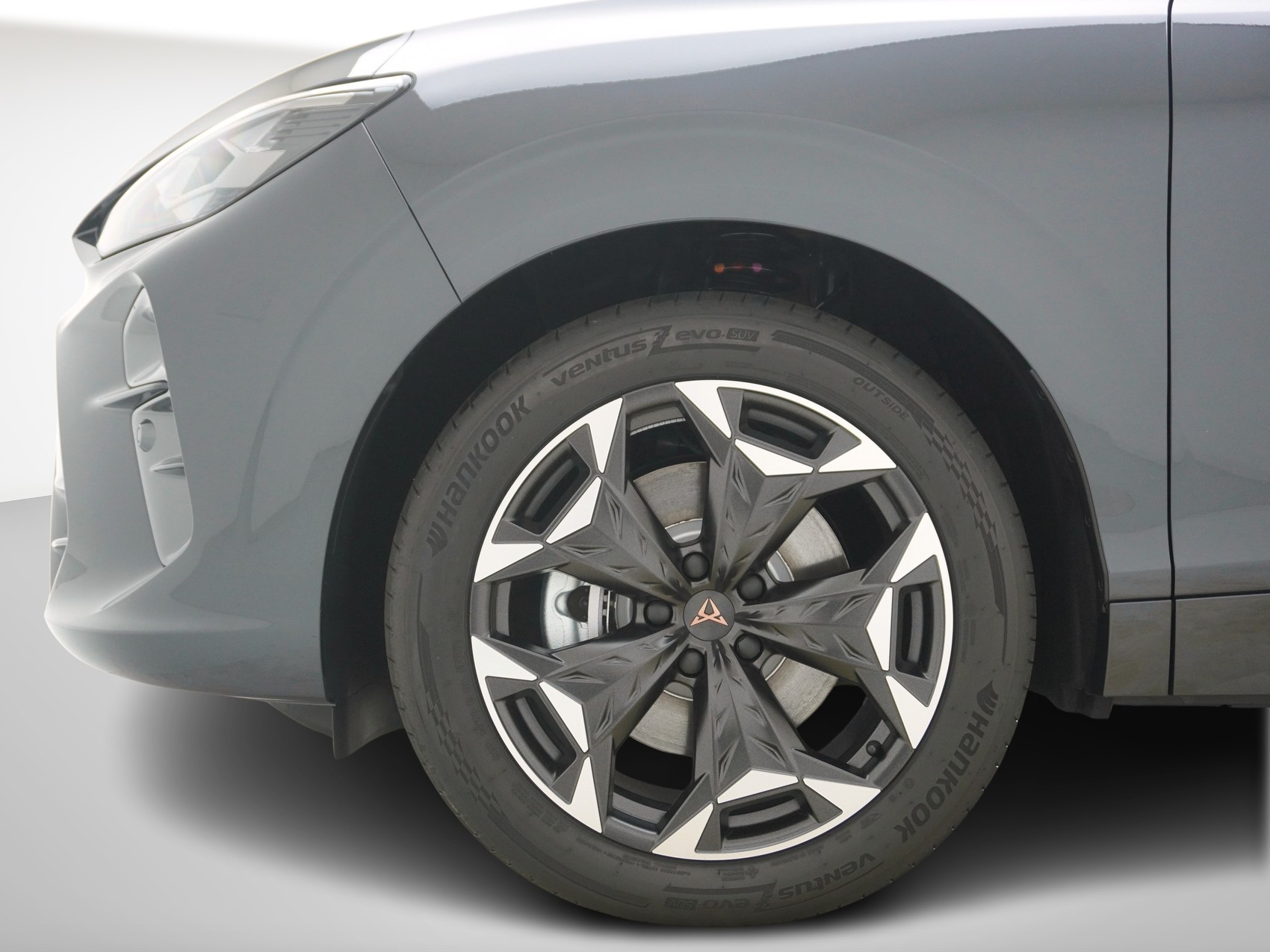 CUPRA Terramar 2.0 TSI 4Drive DSG-image-9