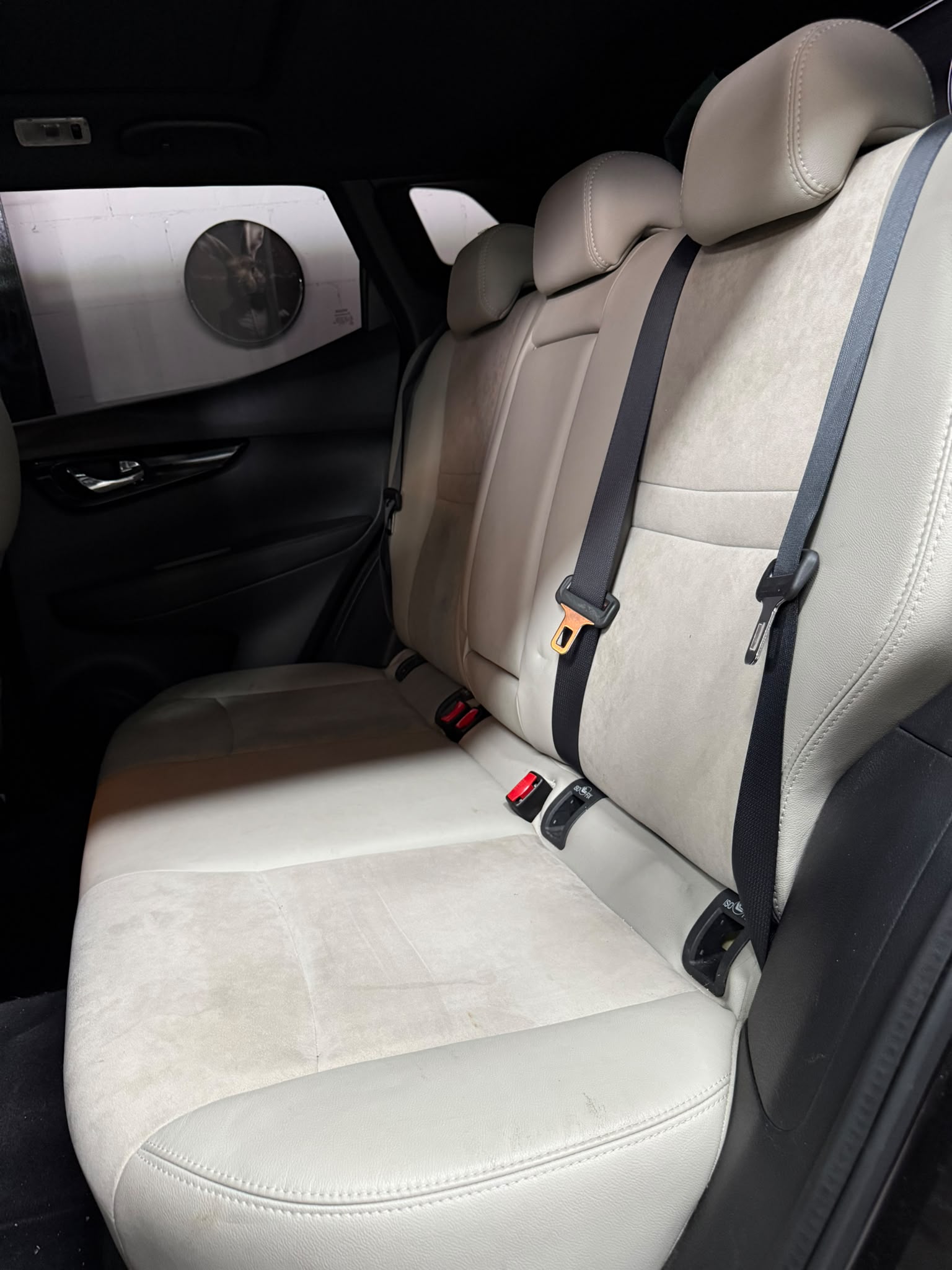 NISSAN Qashqai 1.6 dCi tekna Xtronic CVT-image-12