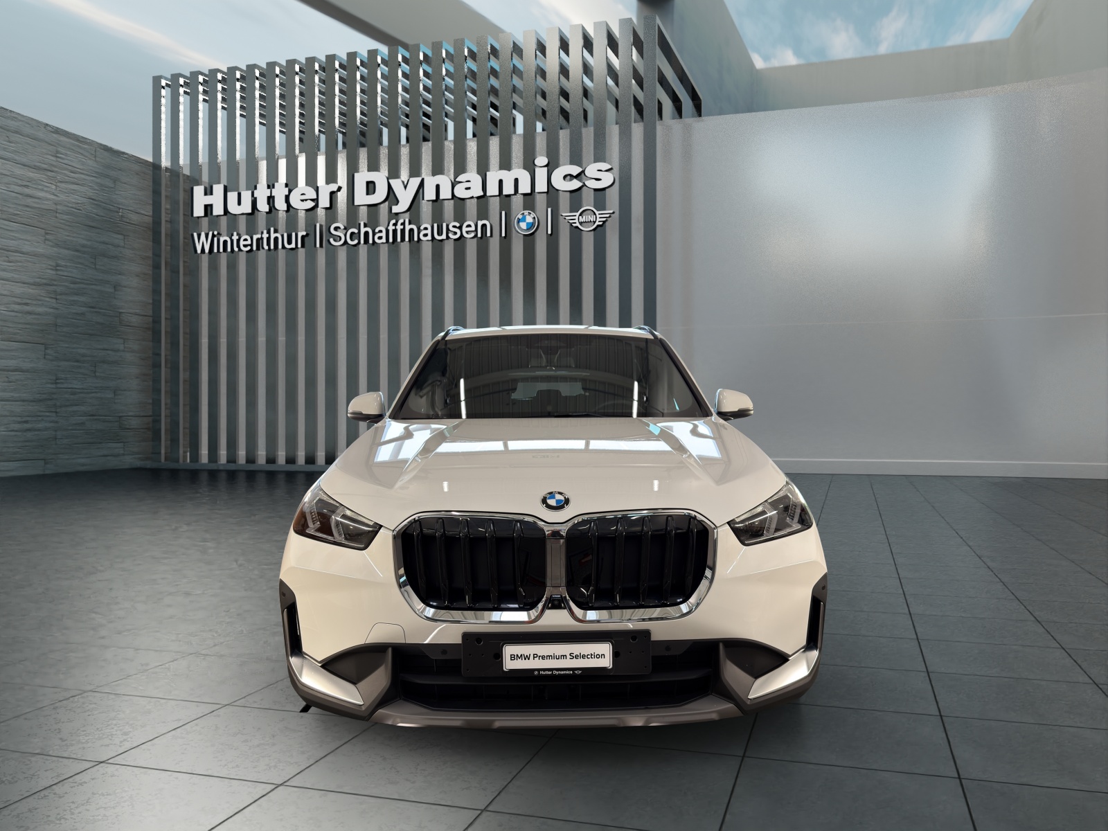BMW X1 20d xDrive Panorama-Glasdach-image-1