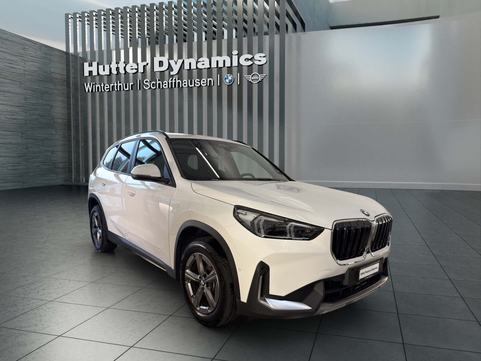BMW X1 20d xDrive Panorama-Glasdach-image-2