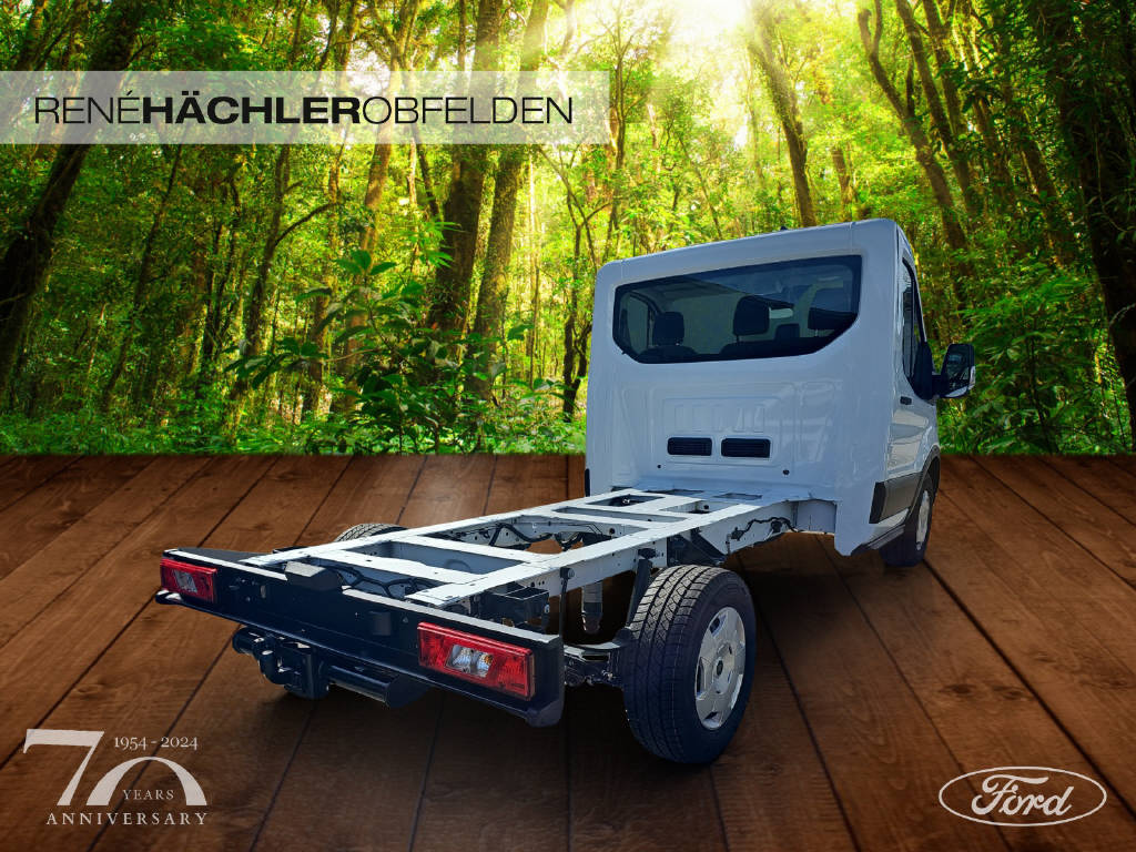 FORD Transit Kab.-Ch. 350 L2 2.0 EcoBlue 165 Trend-showroom-element-2