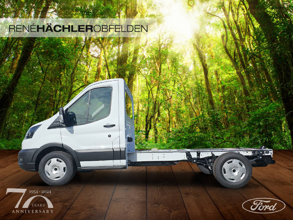 FORD Transit Kab.-Ch. 350 L2 2.0 EcoBlue 165 Trend-showroom-element-1