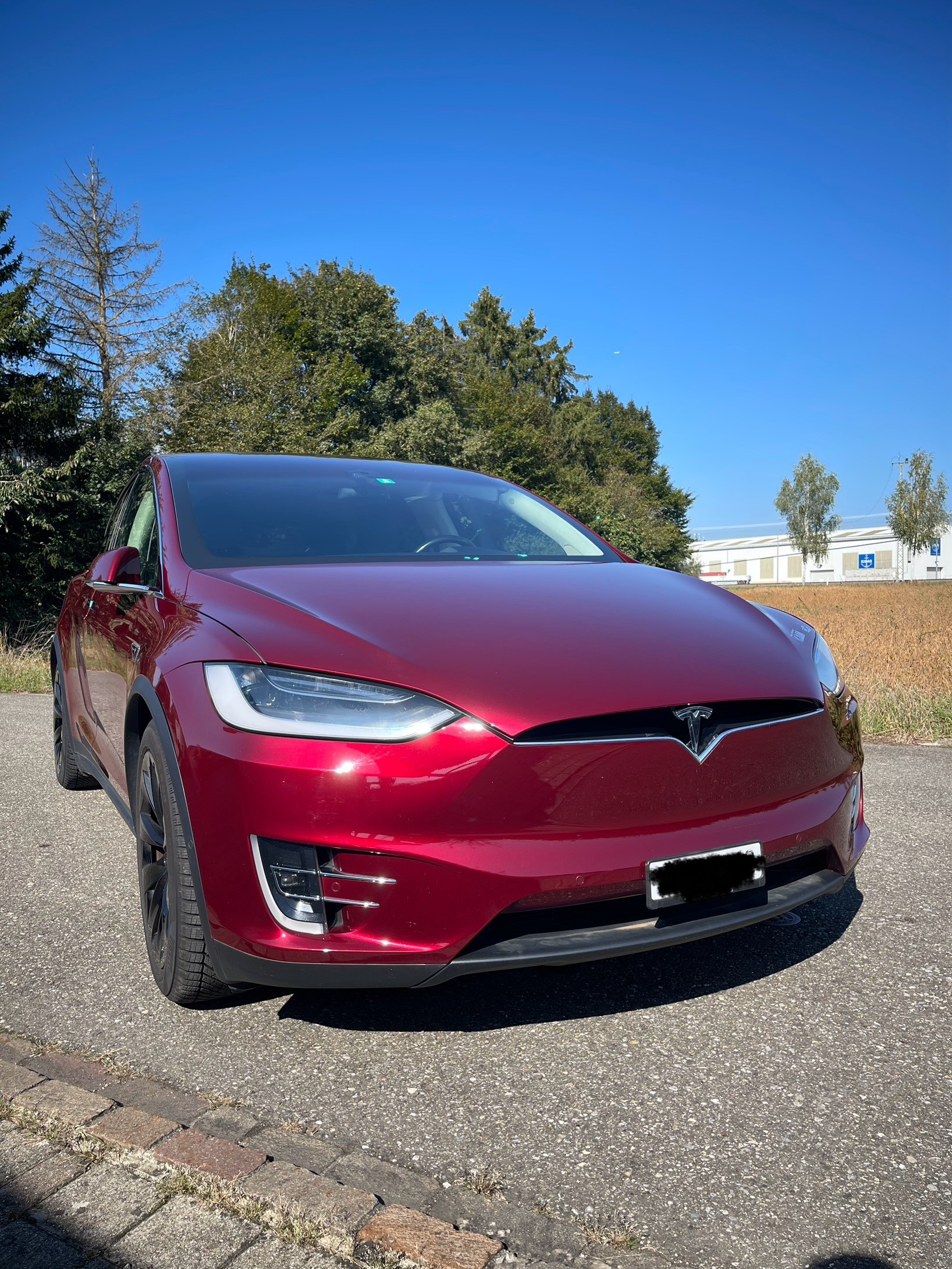TESLA Model X 90 D Signature Performance-image-7