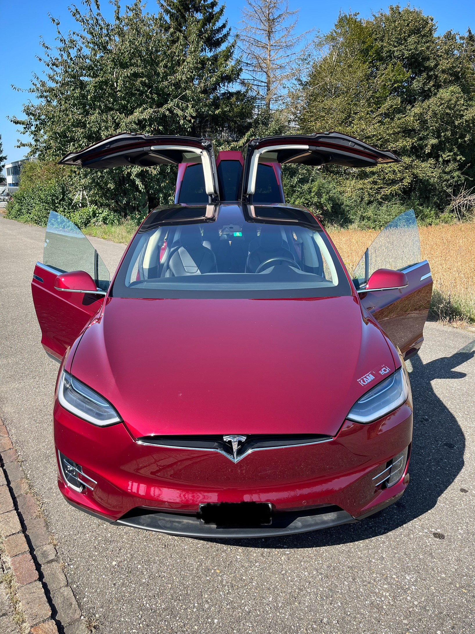 TESLA Model X 90 D Signature Performance-image-15