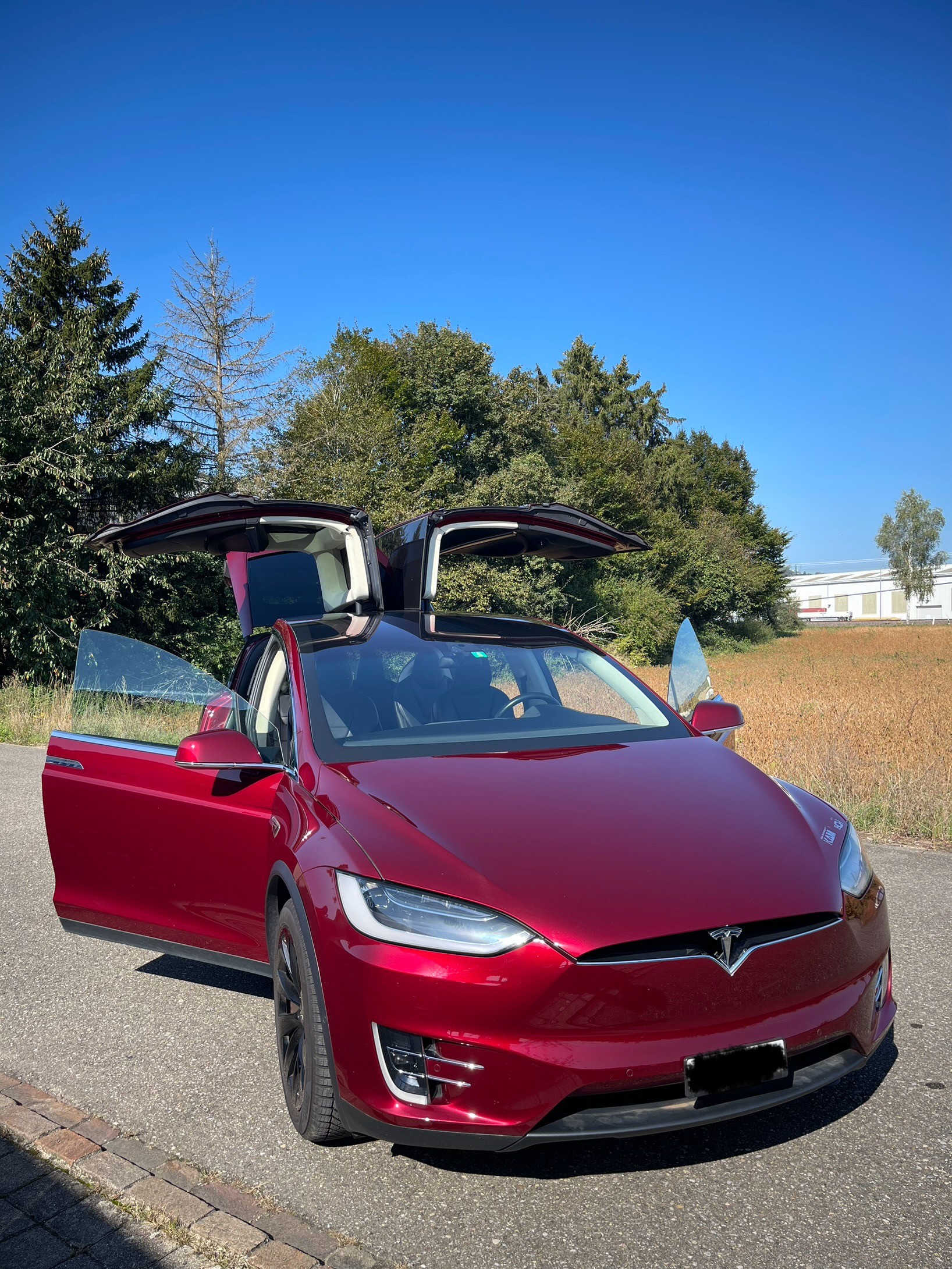 TESLA Model X 90 D Signature Performance-image-0