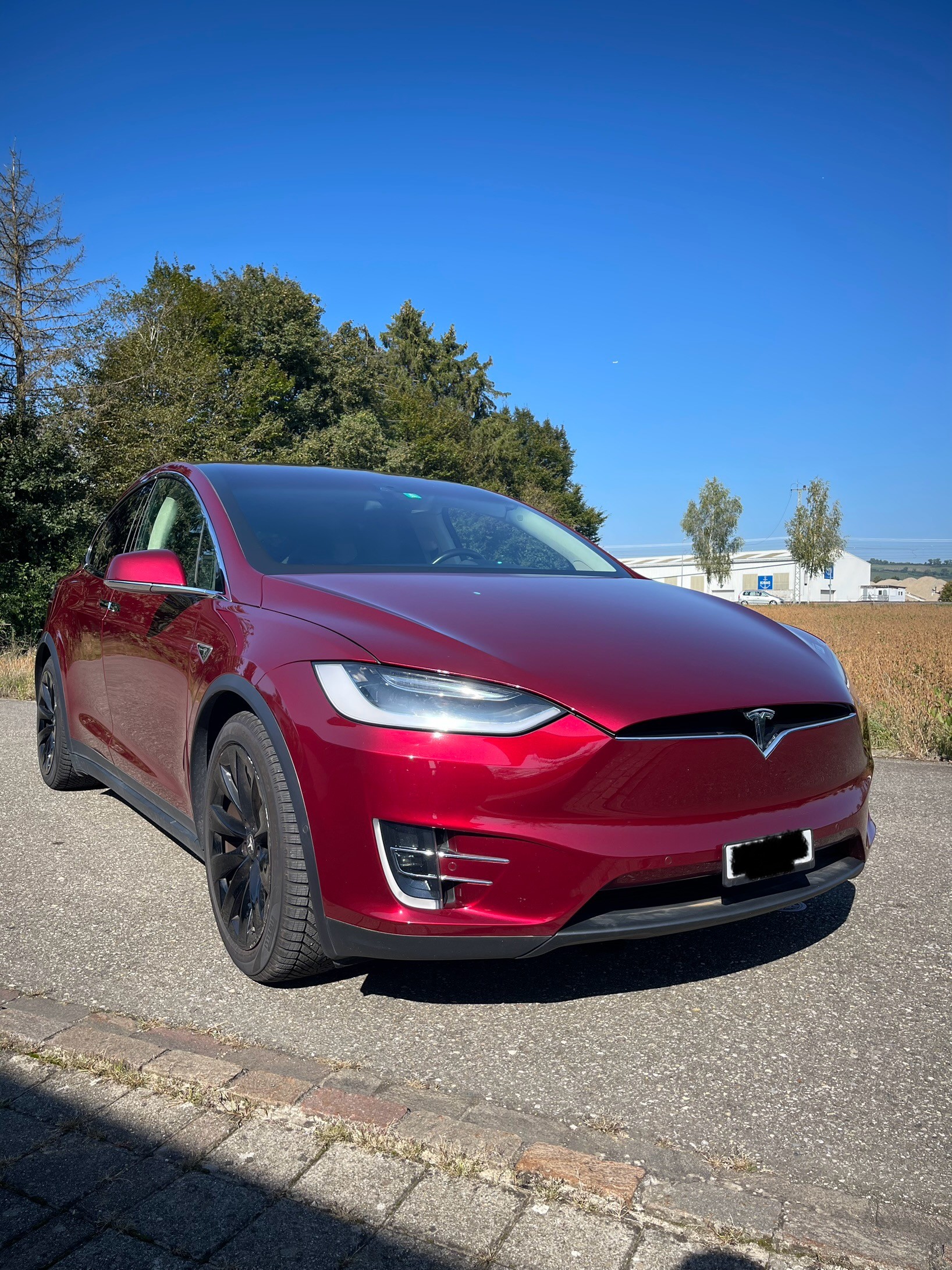 TESLA Model X 90 D Signature Performance-image-8