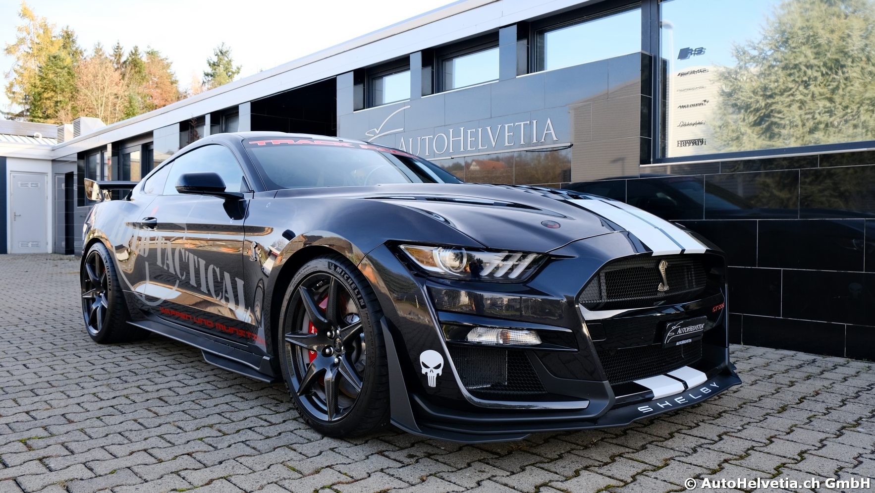 FORD Mustang Shelby GT 500 - Carbon Fiber Track Pack Predator GT500-showroom-element-1