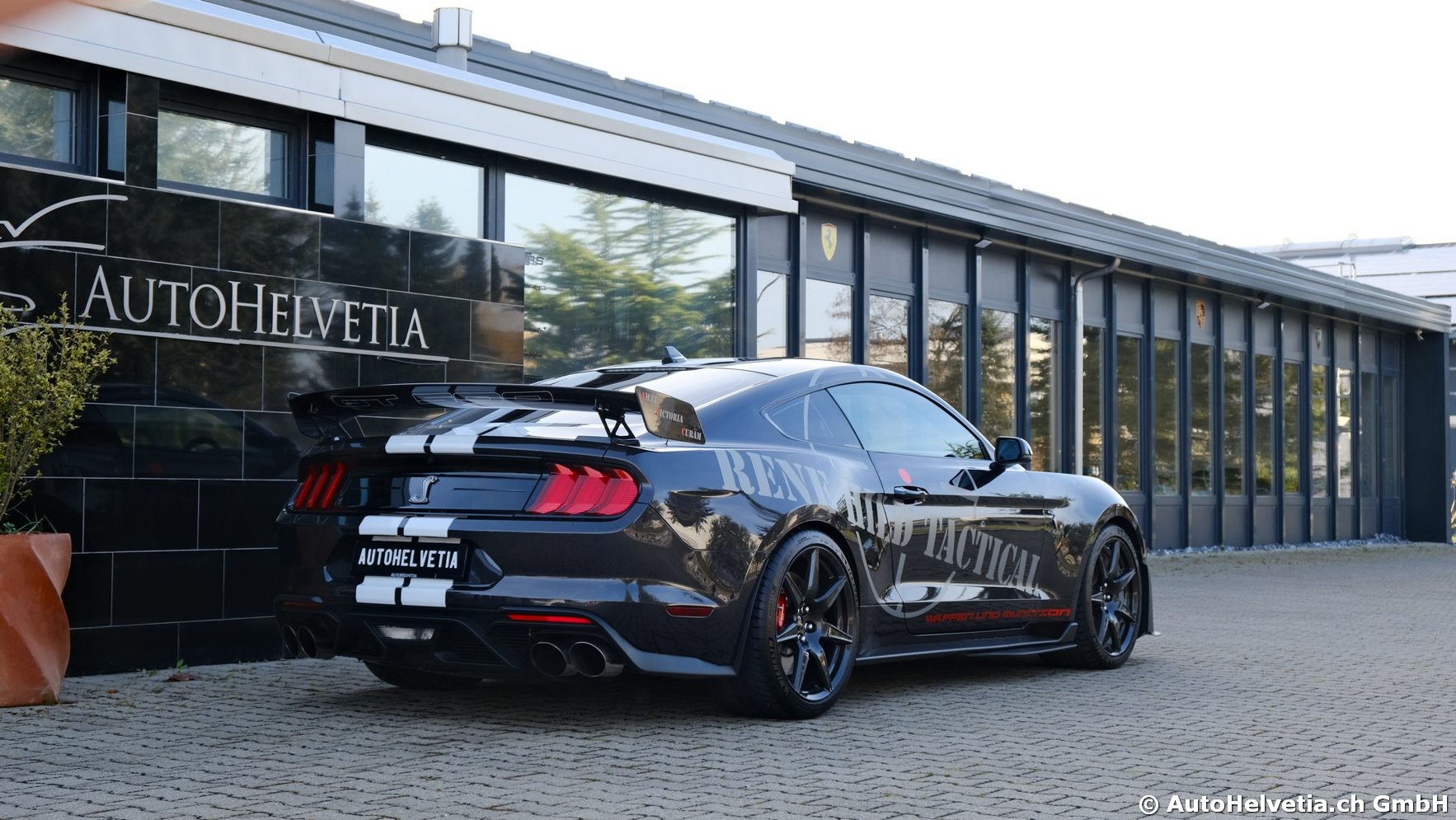 FORD Mustang Shelby GT 500 - Carbon Fiber Track Pack Predator GT500-image-5