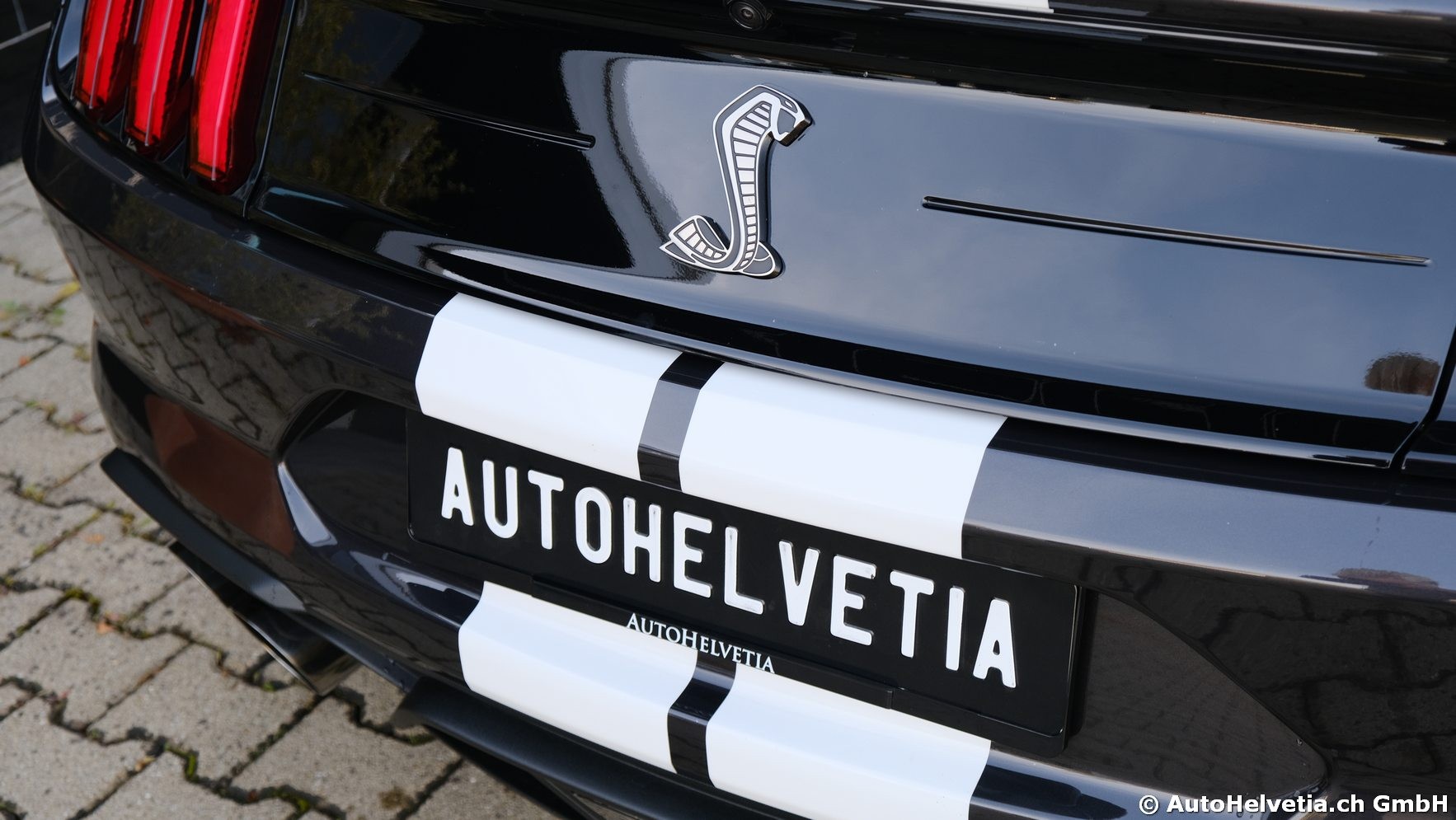 FORD Mustang Shelby GT 500 - Carbon Fiber Track Pack Predator GT500-image-11