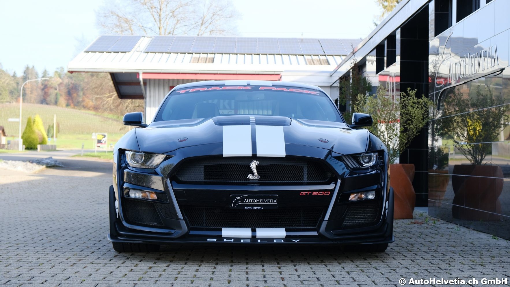 FORD Mustang Shelby GT 500 - Carbon Fiber Track Pack Predator GT500-showroom-element-2