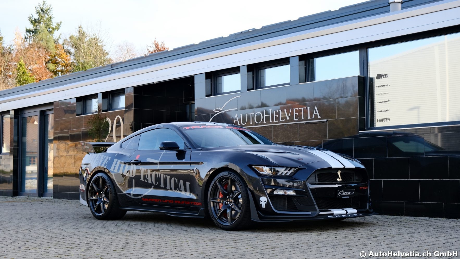 FORD Mustang Shelby GT 500 - Carbon Fiber Track Pack Predator GT500-image-20