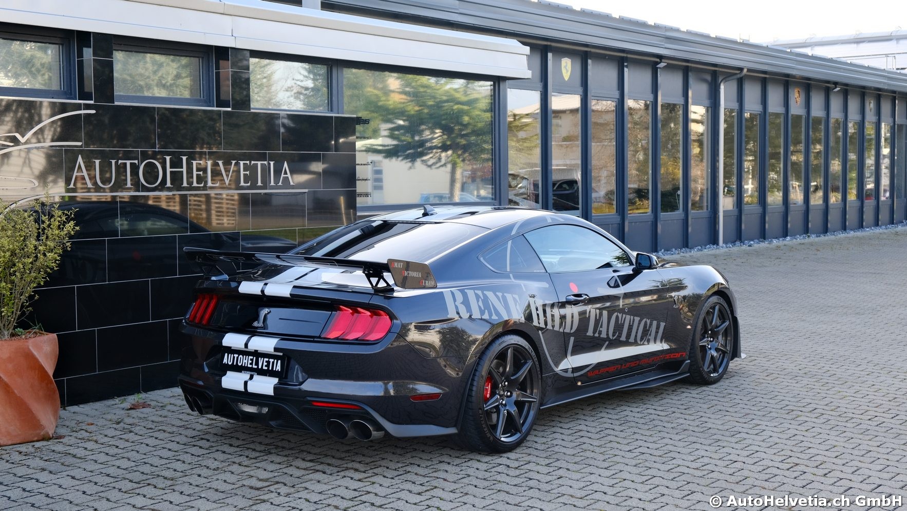 FORD Mustang Shelby GT 500 - Carbon Fiber Track Pack Predator GT500-image-19