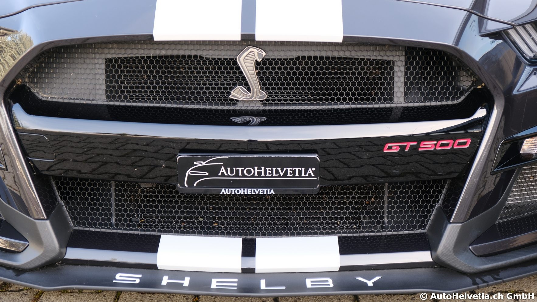FORD Mustang Shelby GT 500 - Carbon Fiber Track Pack Predator GT500-showroom-element-3