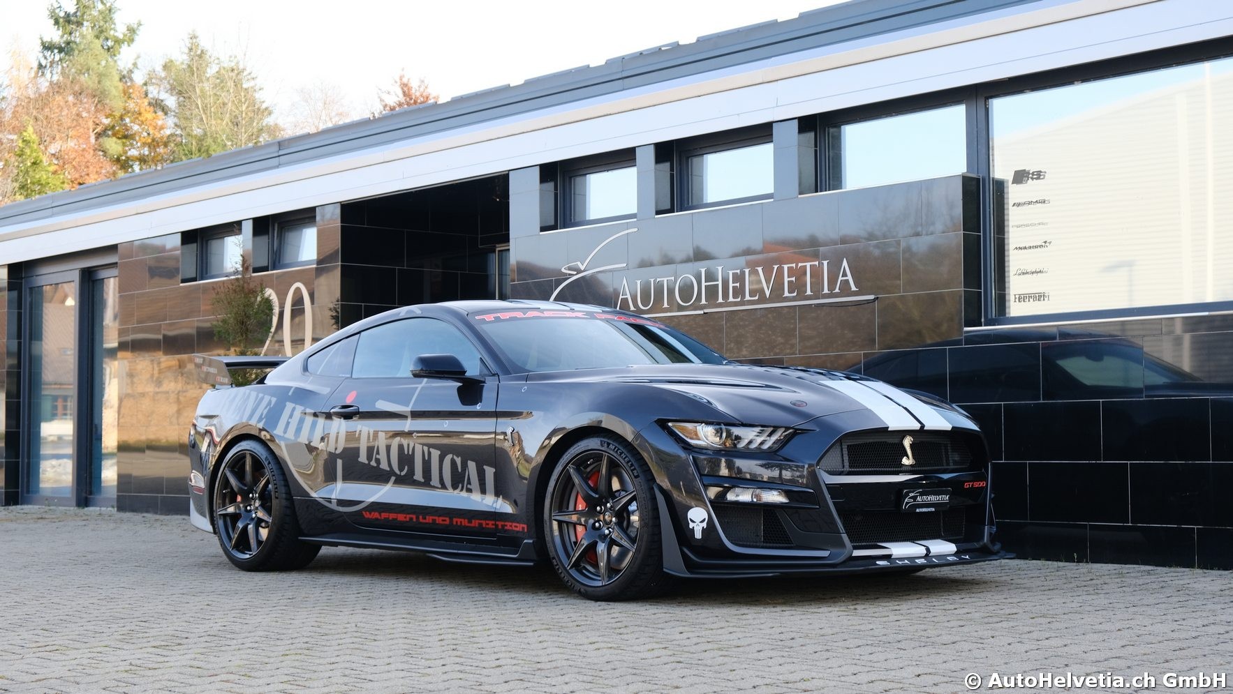 FORD Mustang Shelby GT 500 - Carbon Fiber Track Pack Predator GT500