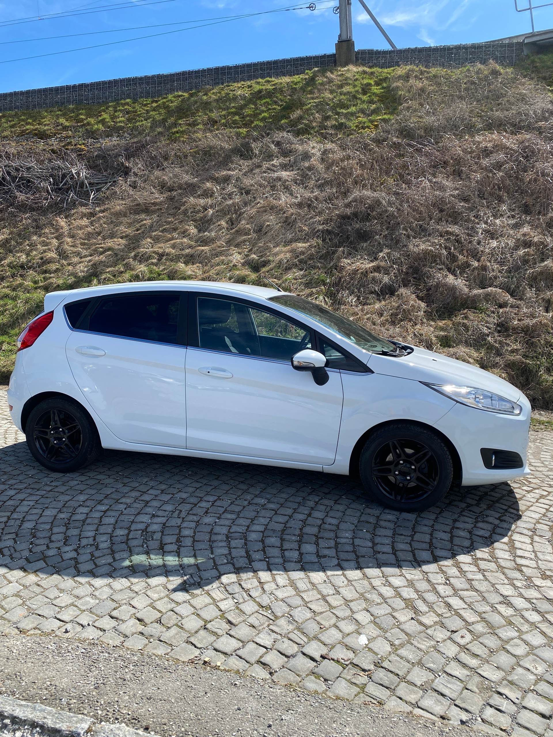 FORD Fiesta 1.6 TDCi Eco Trend-image-3