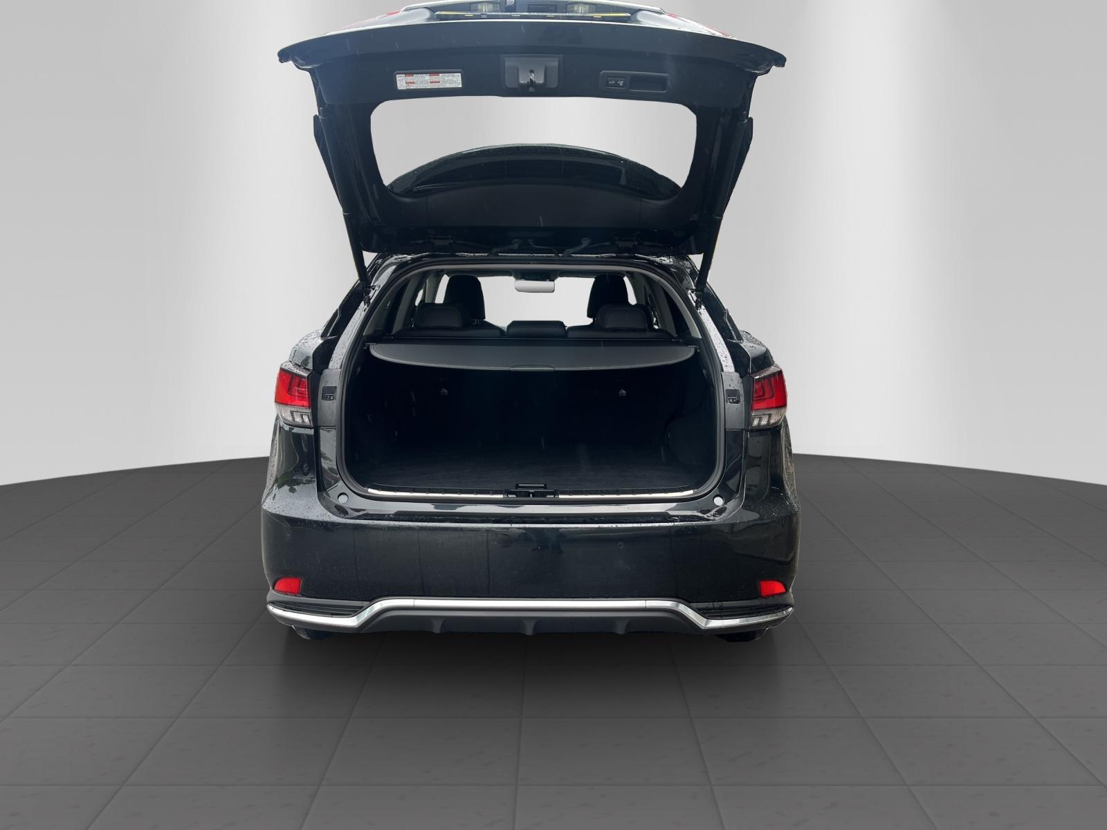 LEXUS RX 450h X-image-12