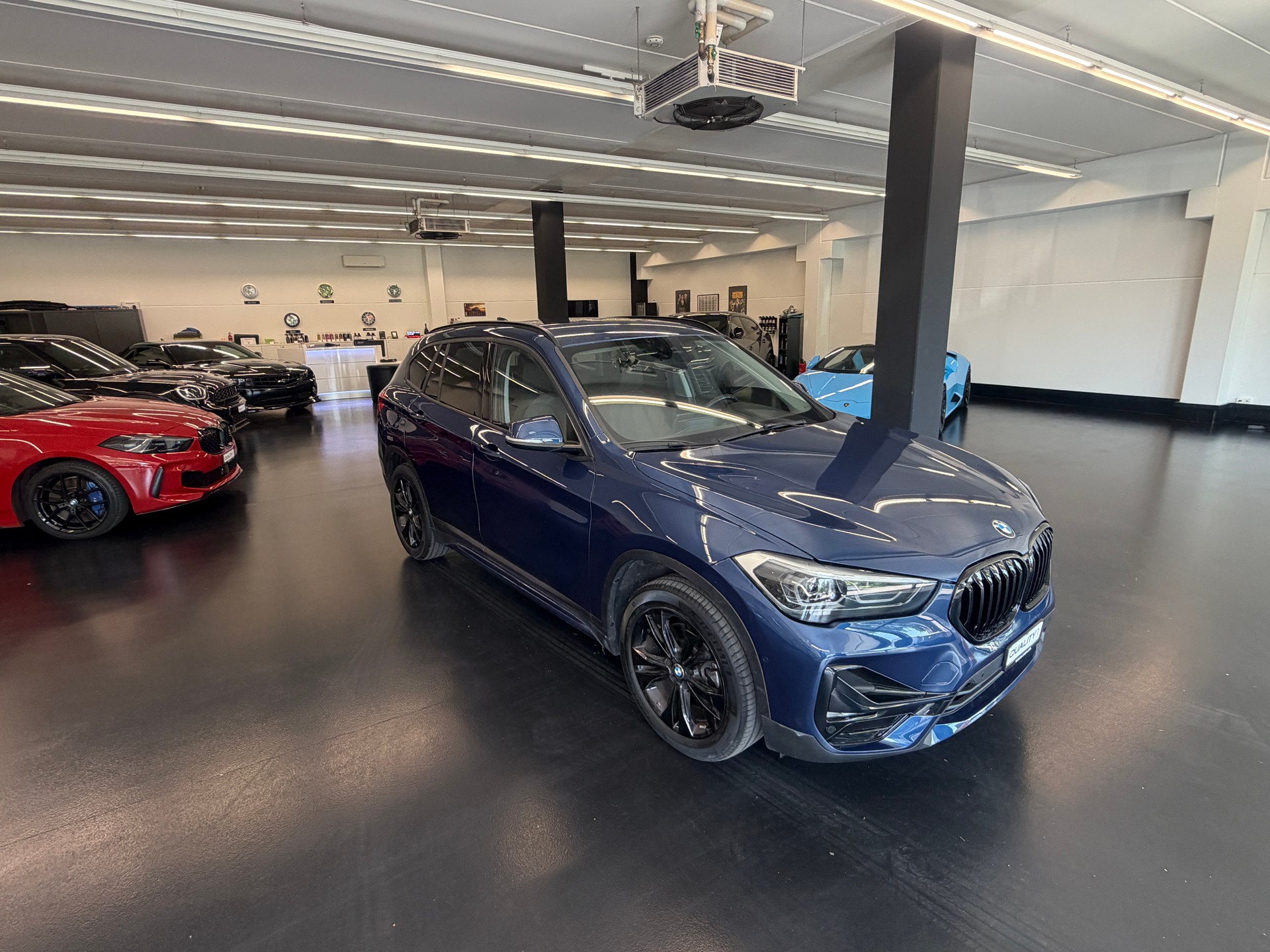 BMW X1 xDrive 25d Sport Line Steptronic
