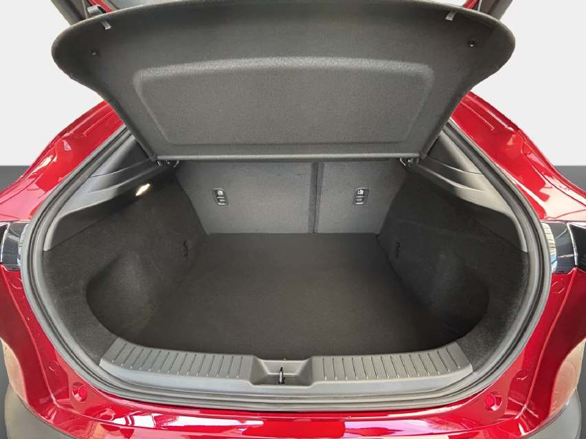 MAZDA CX-30 2.5/140 Homura-image-11