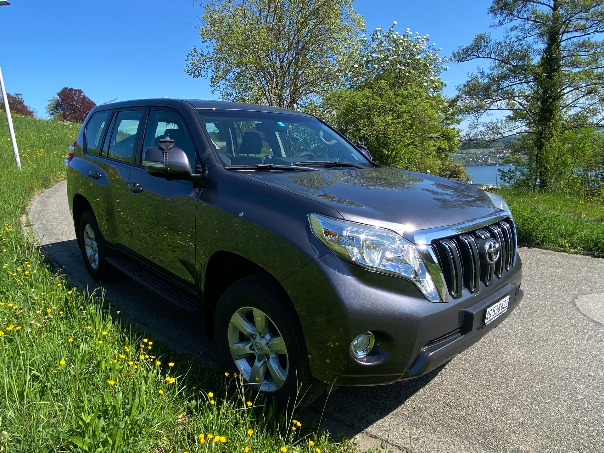 TOYOTA LAND CRUISER-image-0