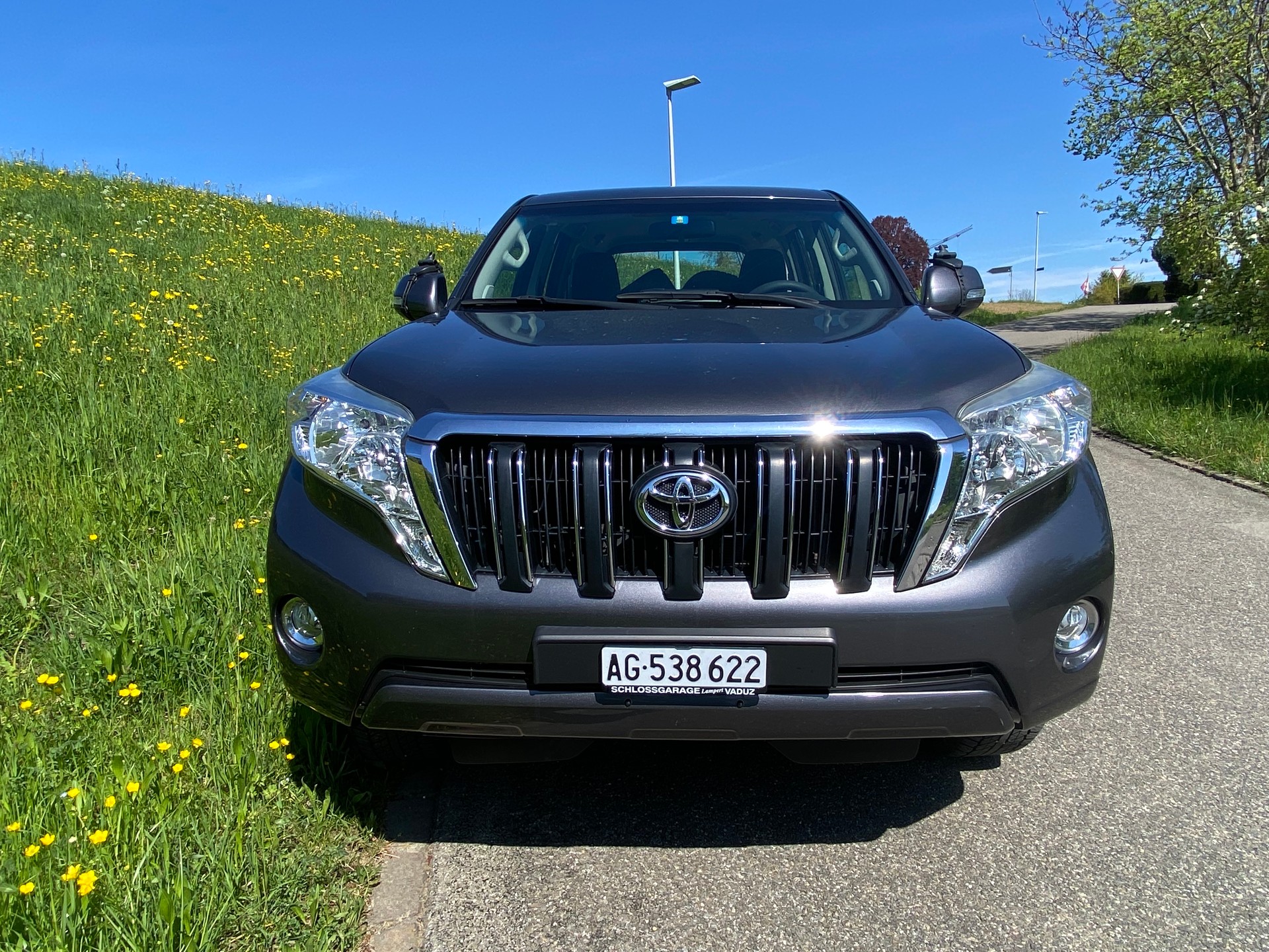 TOYOTA LAND CRUISER-image-4