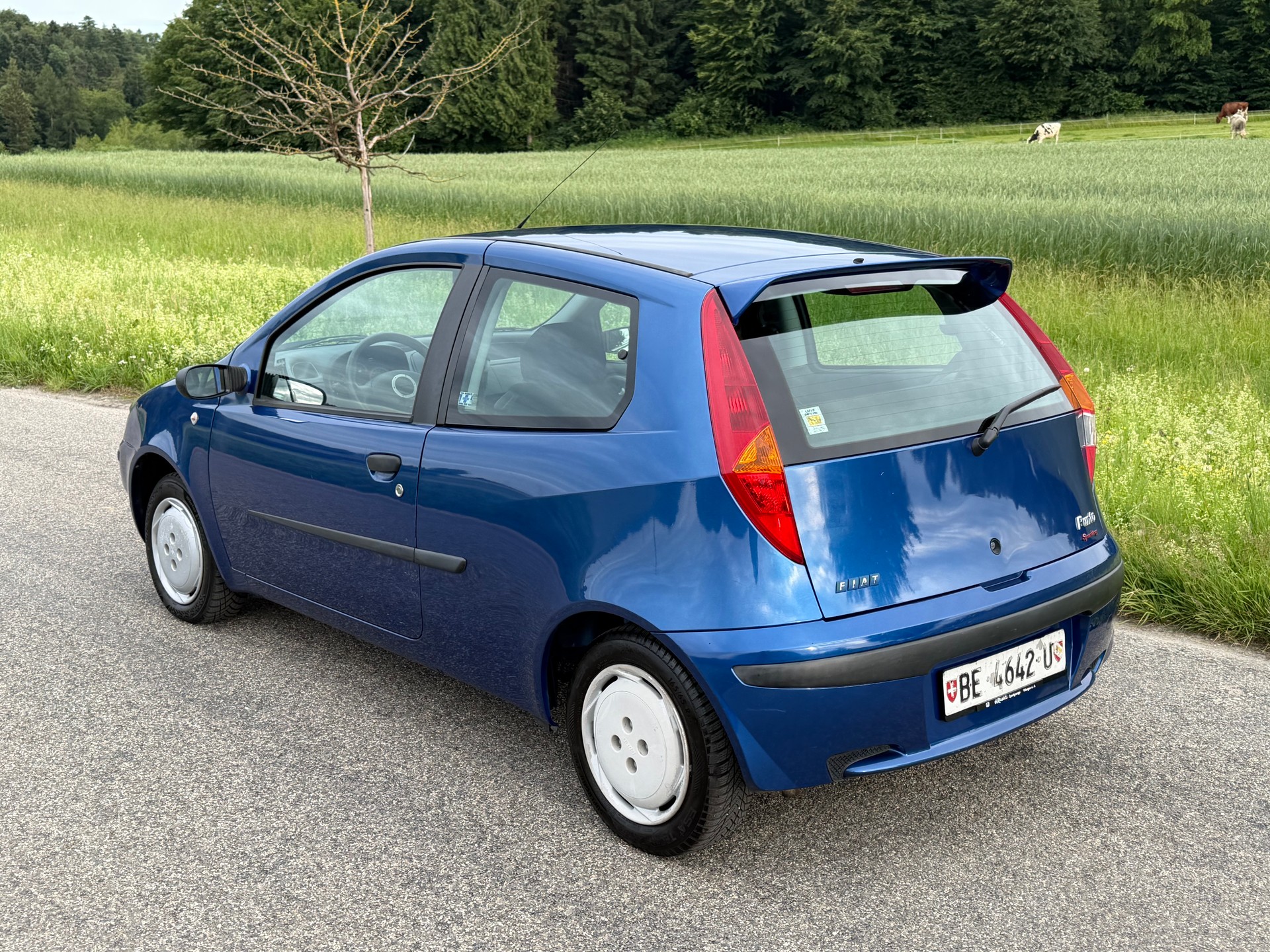 FIAT Punto 1.2 16V Sporting Speedgear-image-1