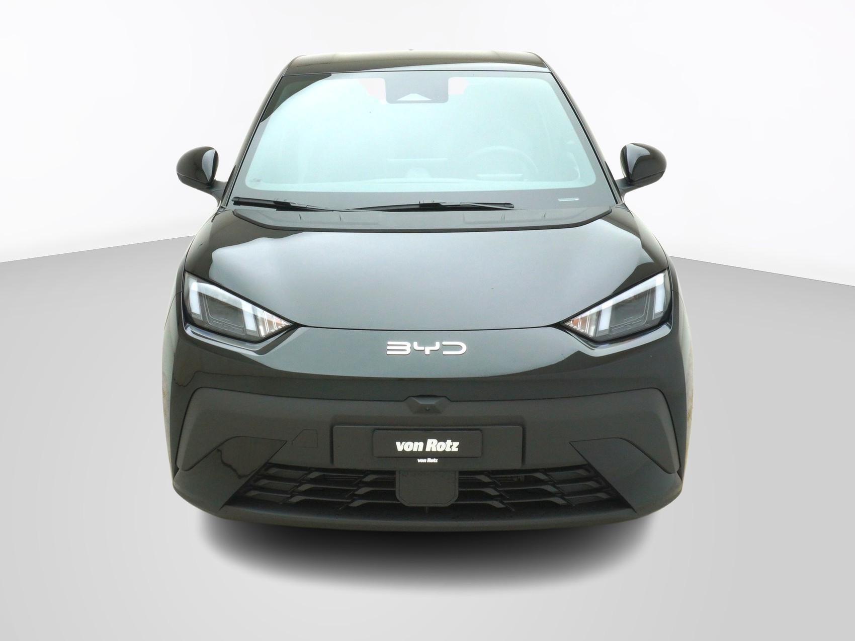 BYD Dolphin Surf Comfort-image-5