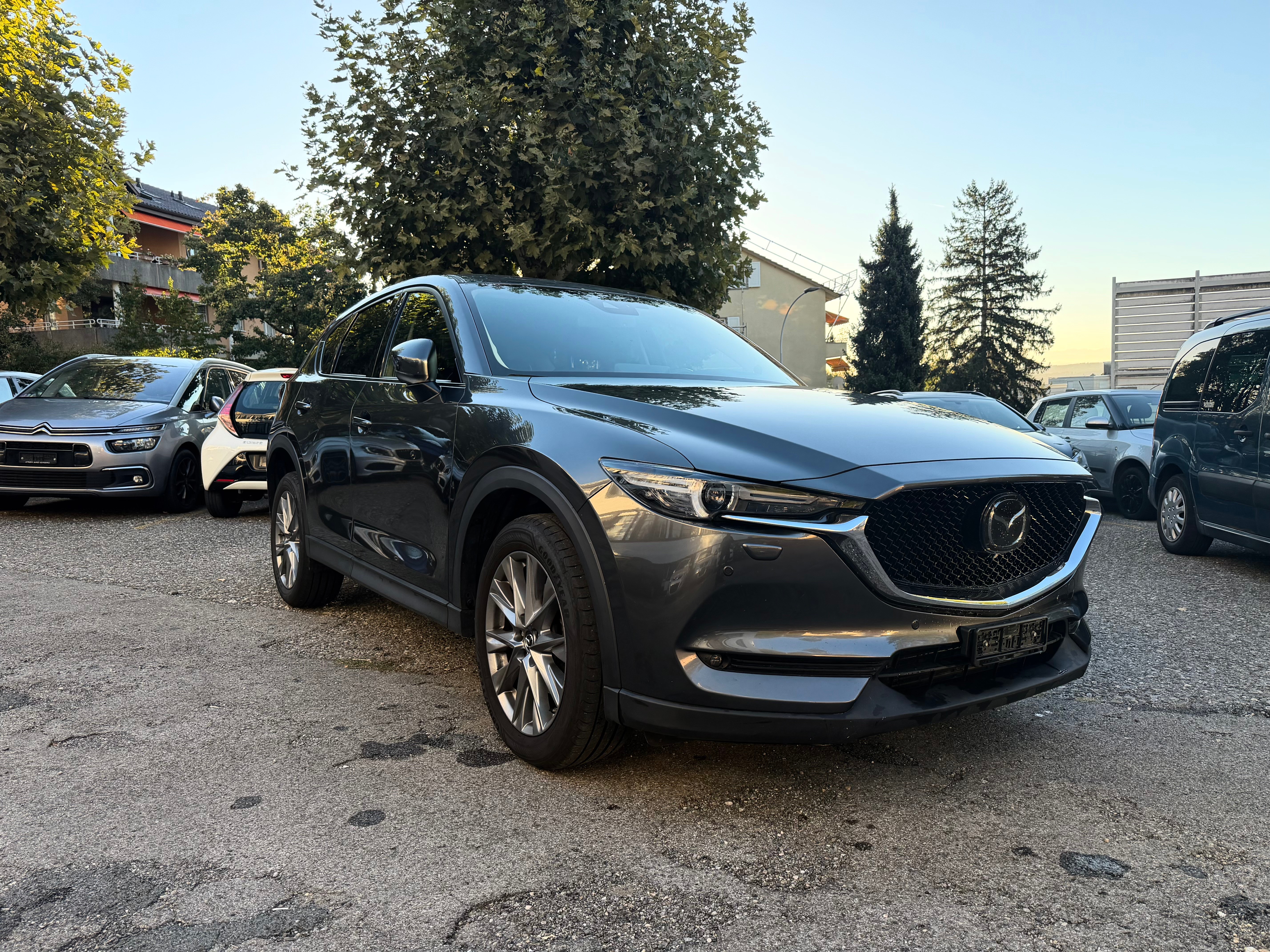 Car photo