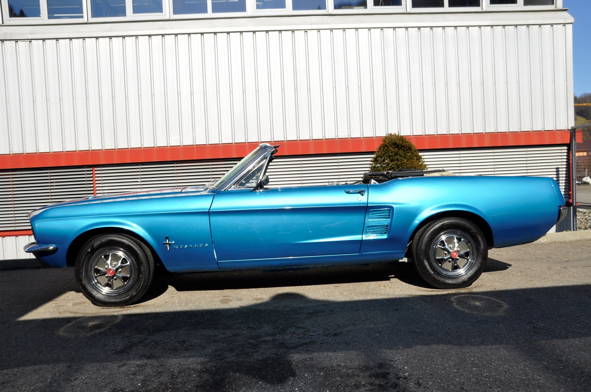 FORD MUSTANG 4,7L-image-4