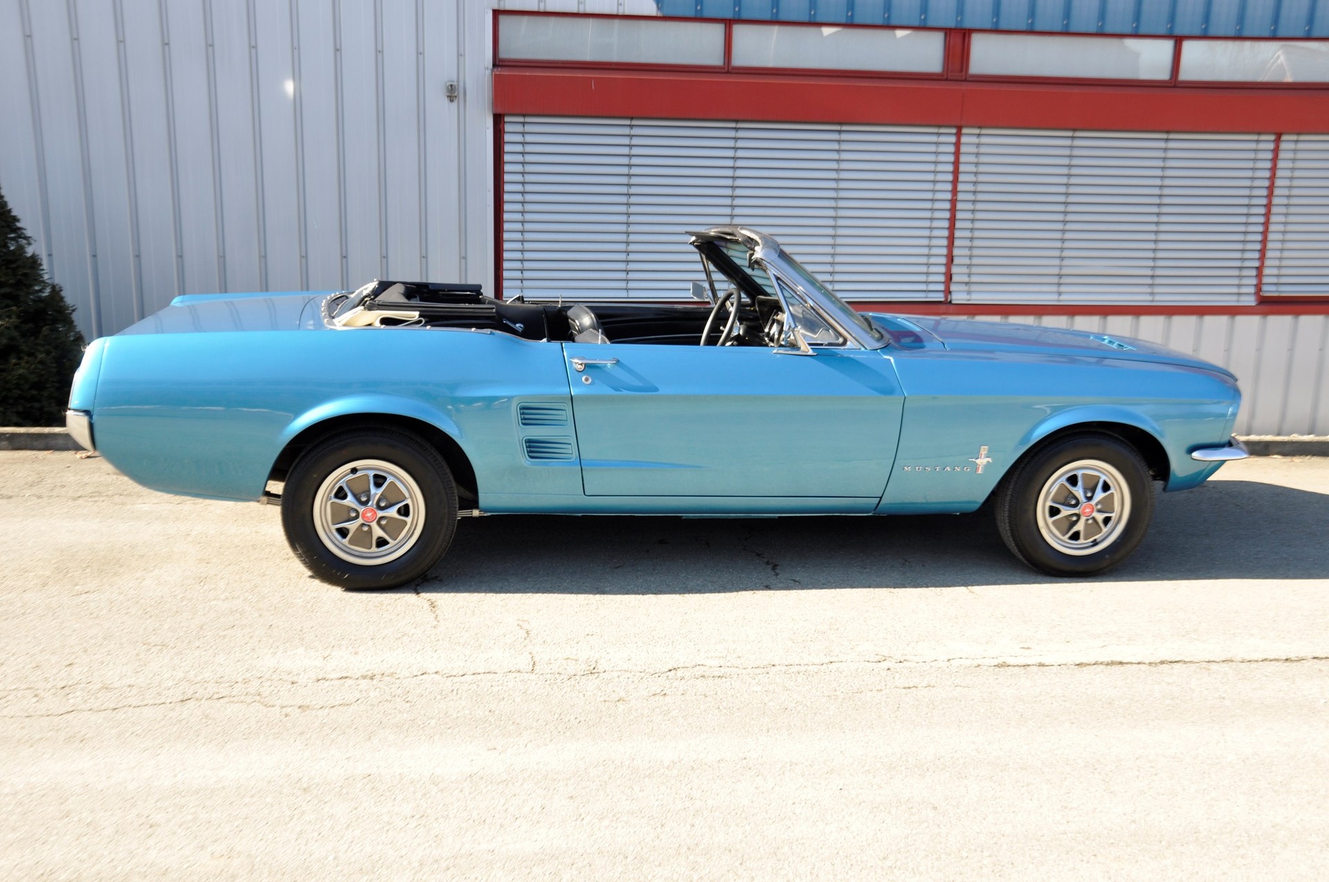 FORD MUSTANG 4,7L-image-5