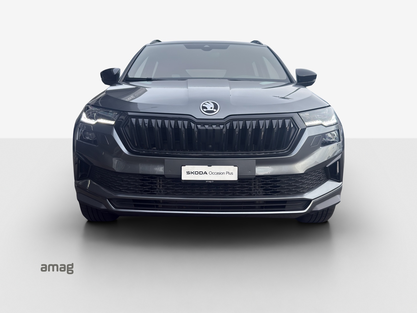 SKODA Karoq 1.5 TSI SportLine DSG-image-6