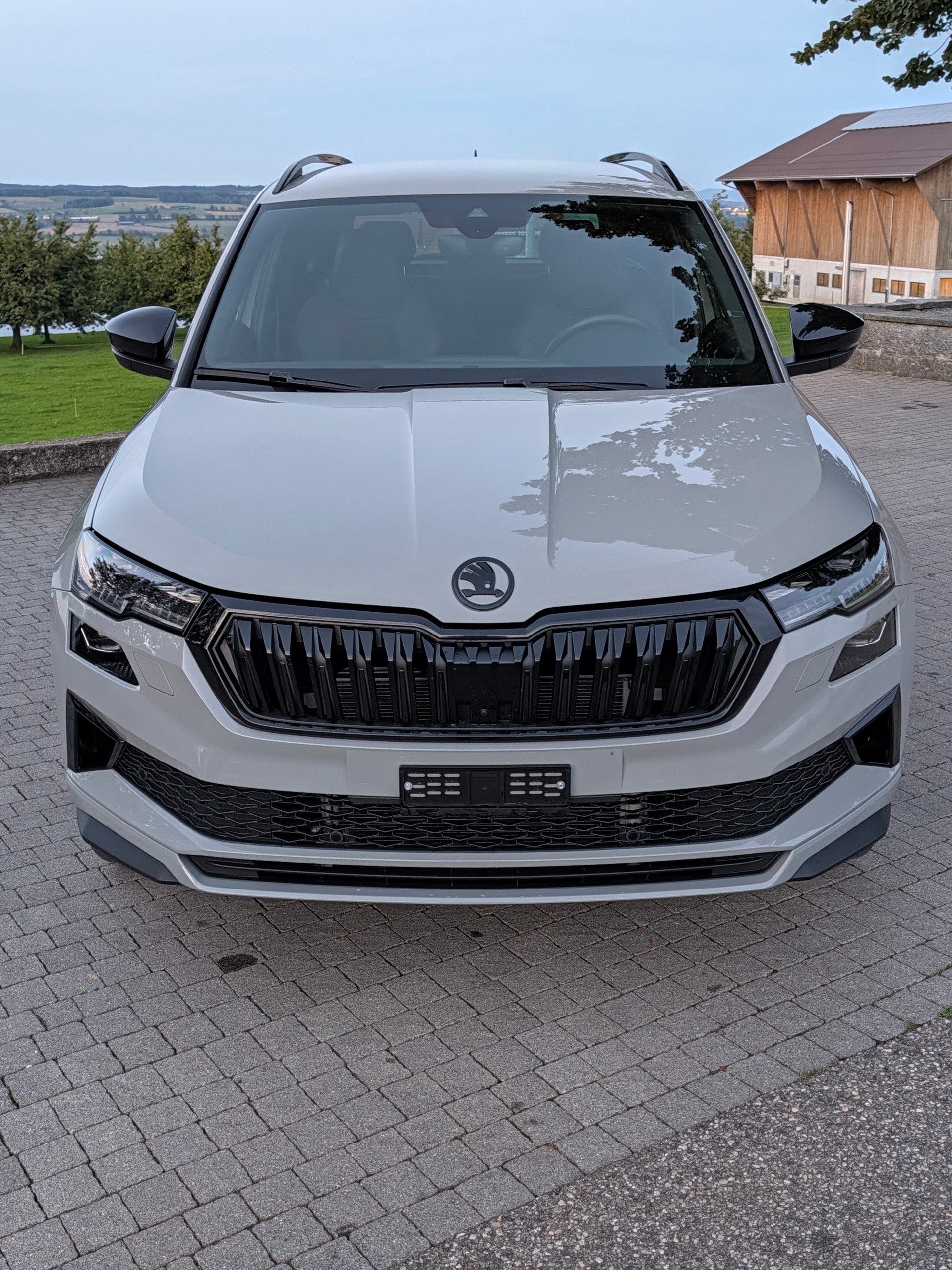 SKODA 2.0 TSI SportLine 4x4 DSG-image-2