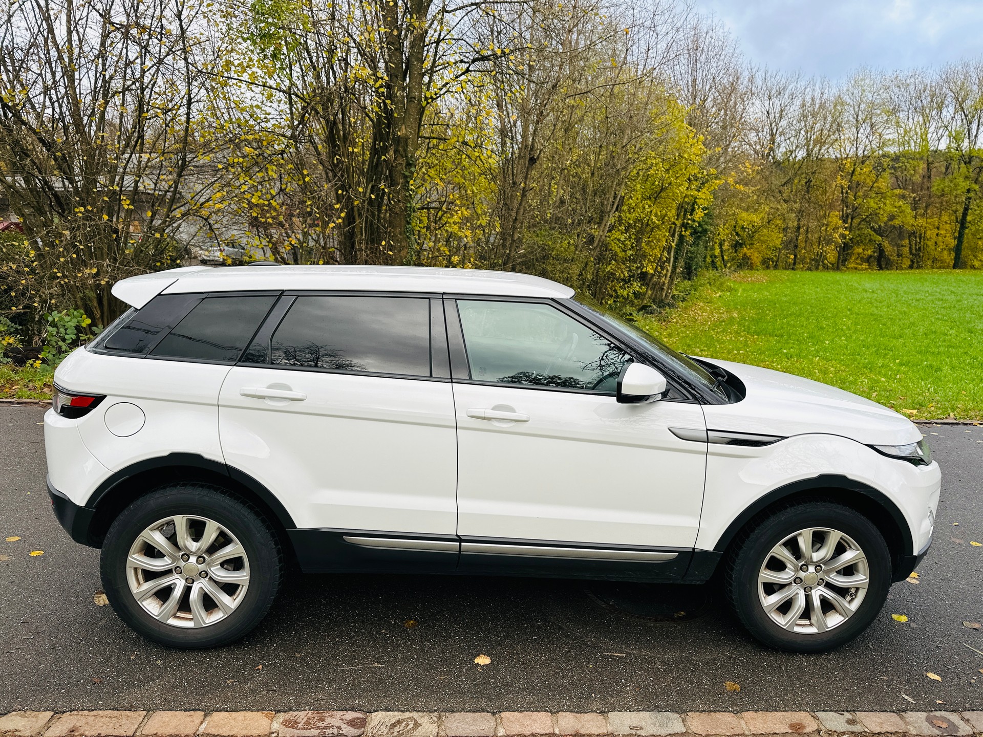 LAND ROVER Range Rover Evoque 2.2 TD4 Pure AT9-image-6
