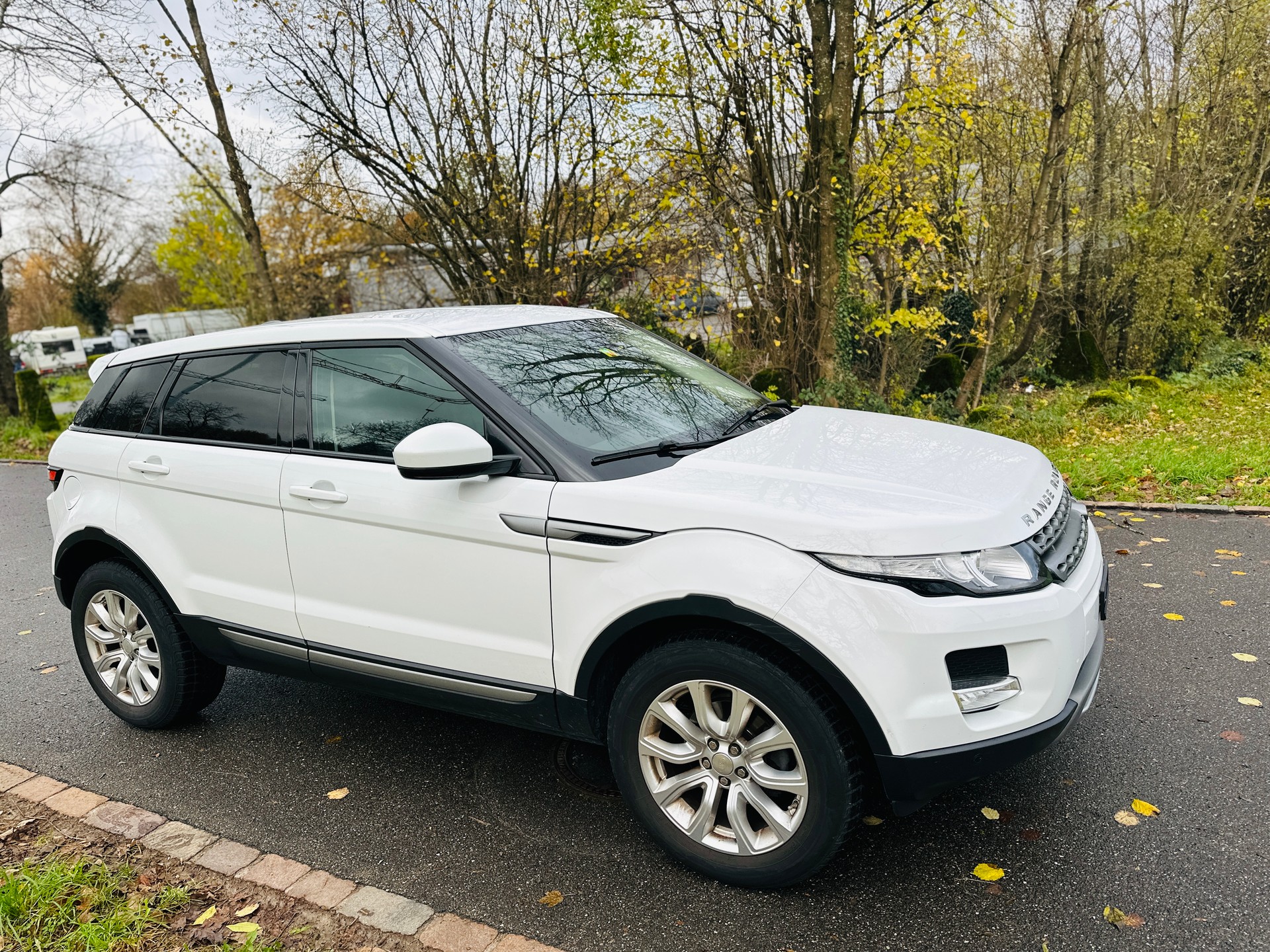 LAND ROVER Range Rover Evoque 2.2 TD4 Pure AT9-image-2