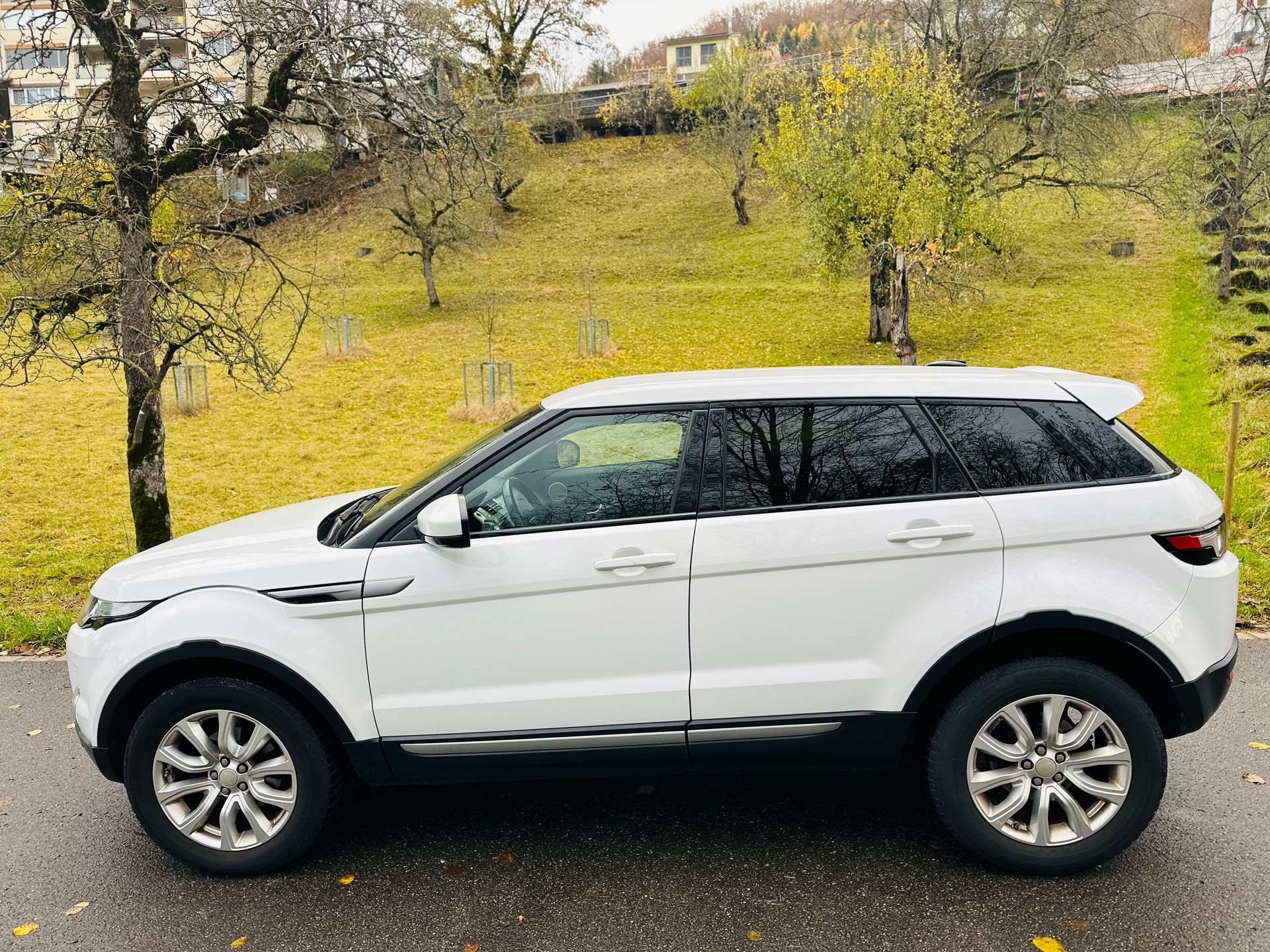 LAND ROVER Range Rover Evoque 2.2 TD4 Pure AT9-image-5