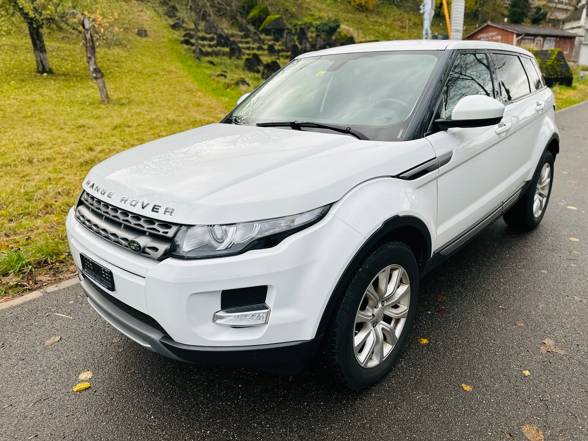 LAND ROVER Range Rover Evoque 2.2 TD4 Pure AT9-image-3
