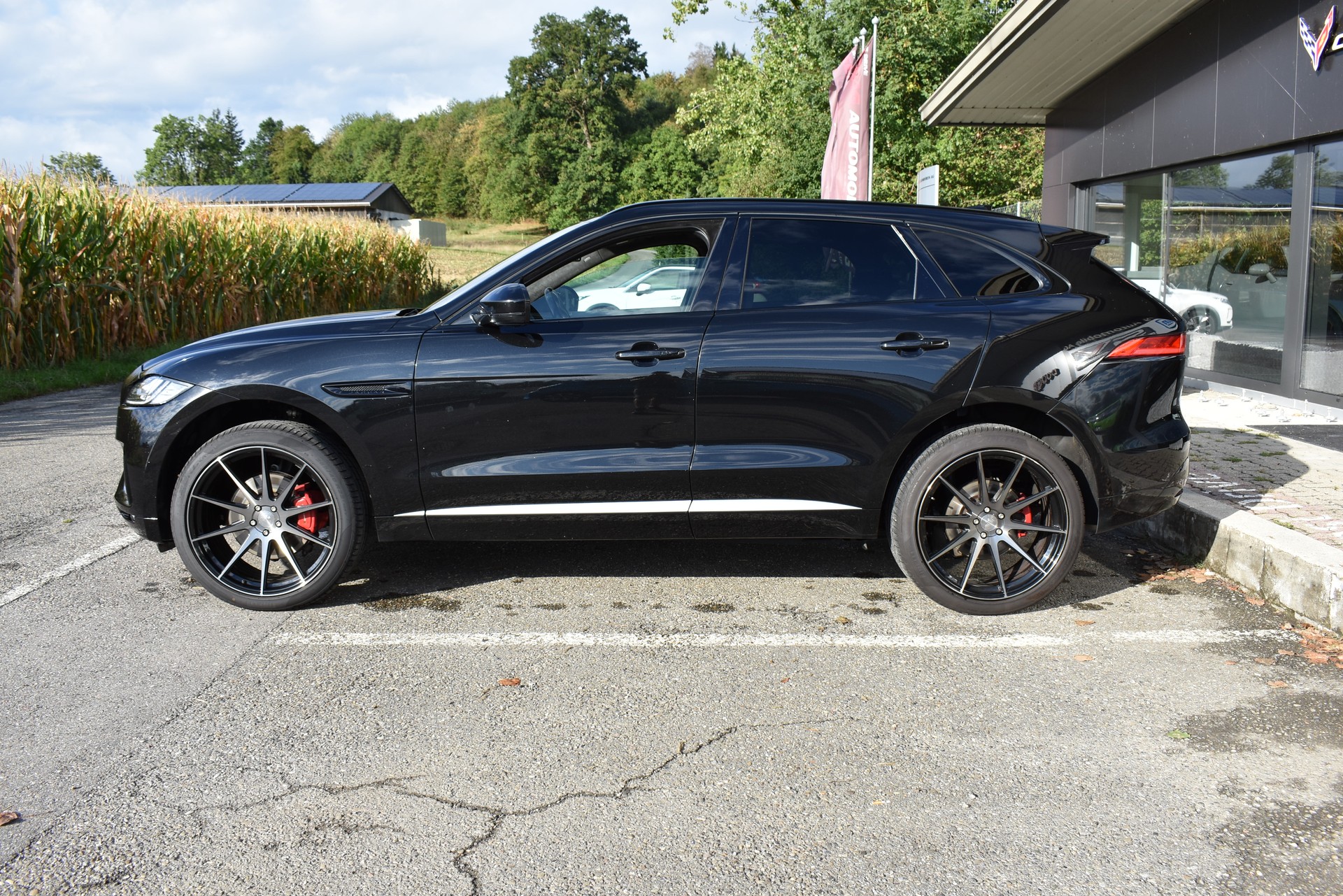 JAGUAR F-Pace 3.0 V6 First Edition AWD Automatik-image-3