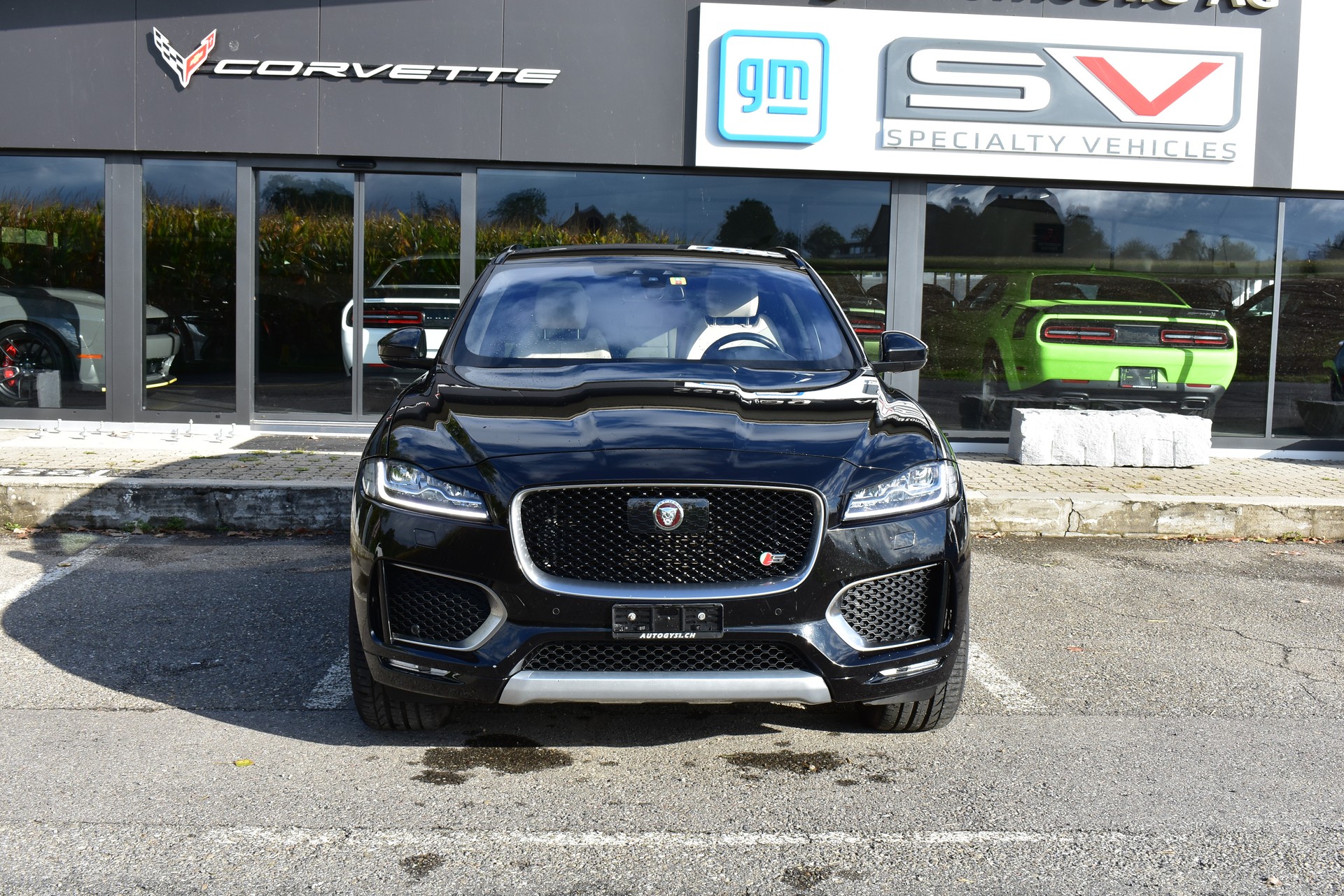JAGUAR F-Pace 3.0 V6 First Edition AWD Automatik-image-0
