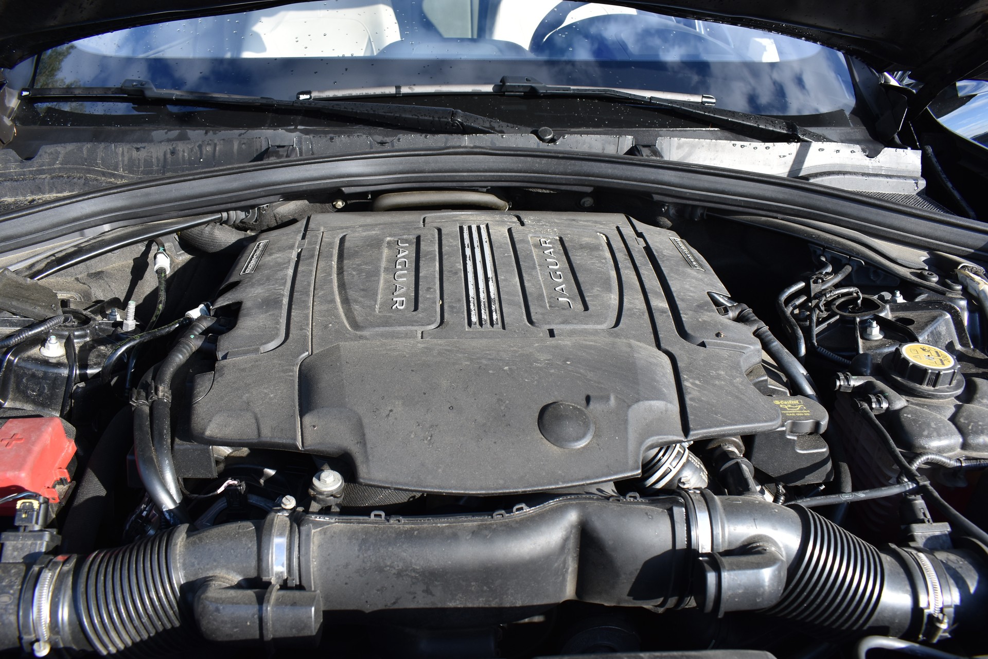 JAGUAR F-Pace 3.0 V6 First Edition AWD Automatik-image-13