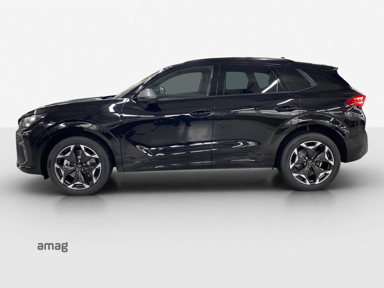 CUPRA Terramar 2.0 TSI Prime Edition DSG 4Drive-image-1