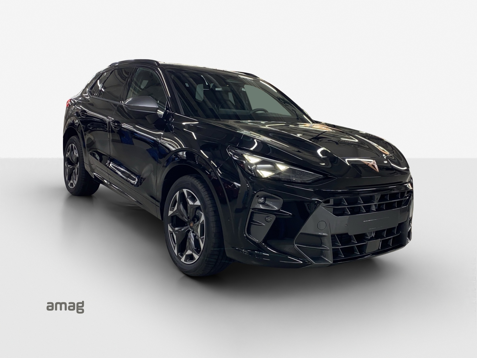 CUPRA Terramar 2.0 TSI Prime Edition DSG 4Drive-image-5