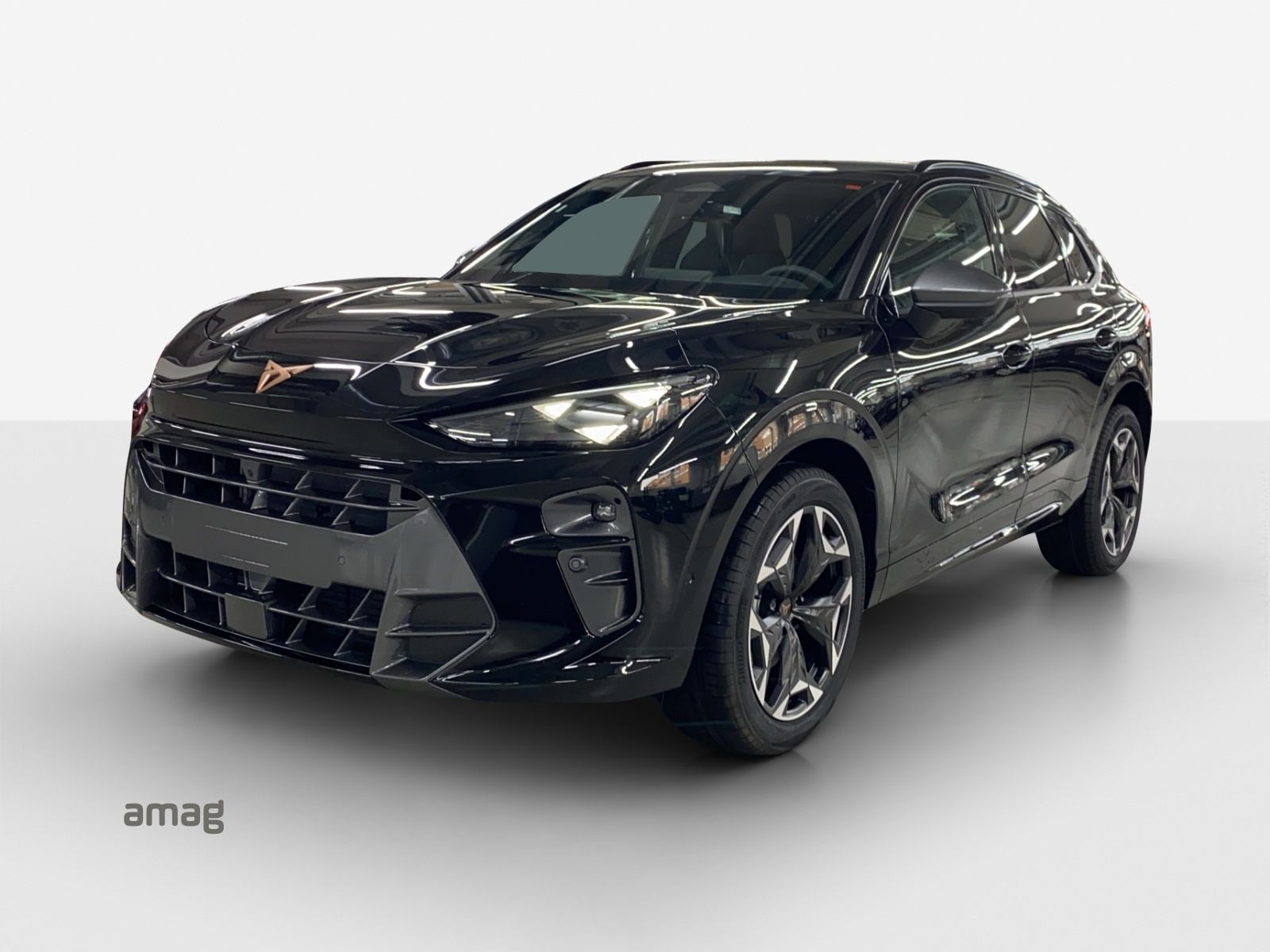 CUPRA Terramar 2.0 TSI Prime Edition DSG 4Drive-image-0