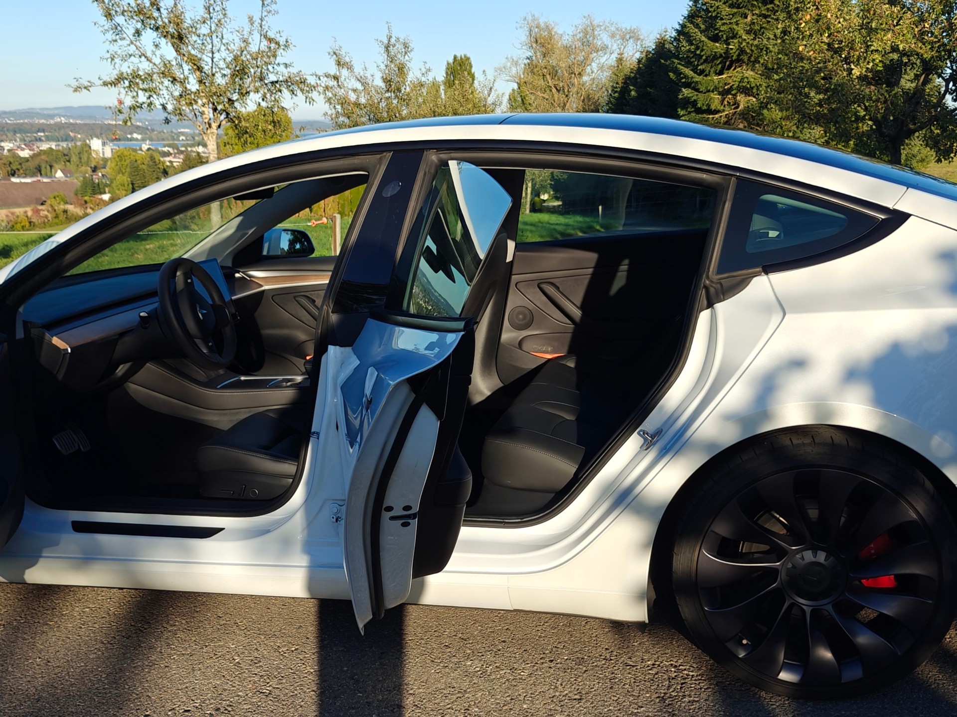 TESLA Model 3 Performance Dual Motor AWD-image-4
