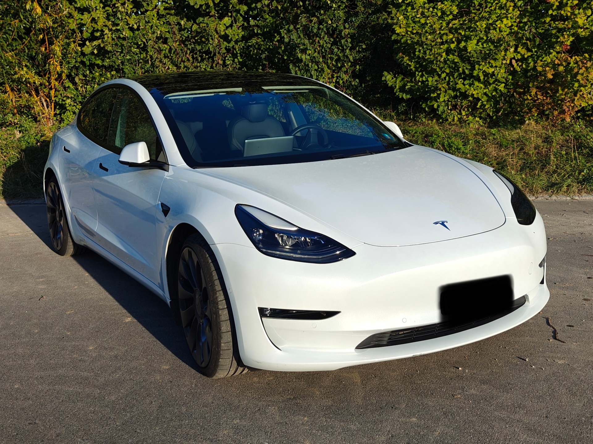 TESLA Model 3 Performance Dual Motor AWD-image-2